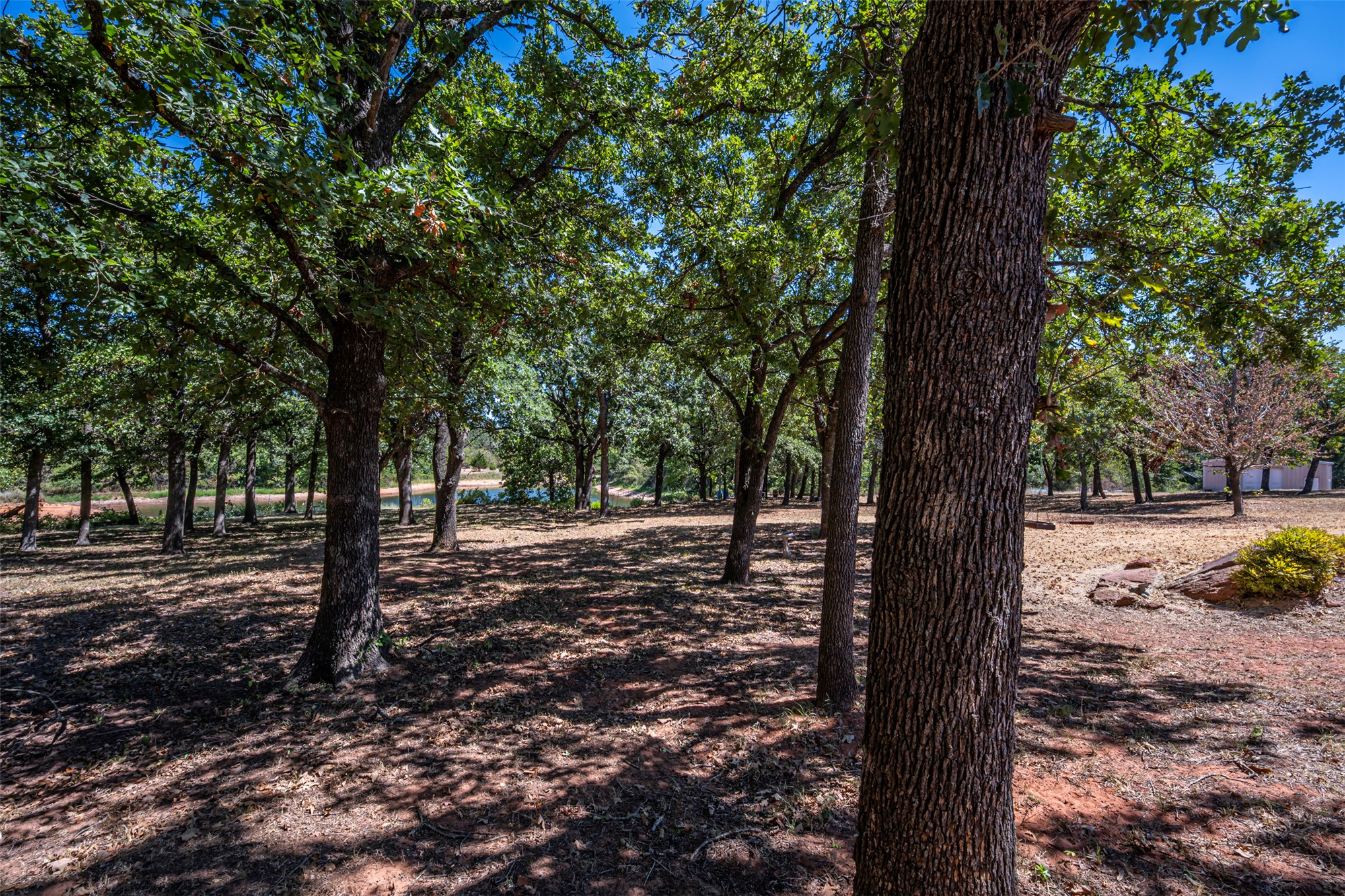14675 250th Property Photo 7