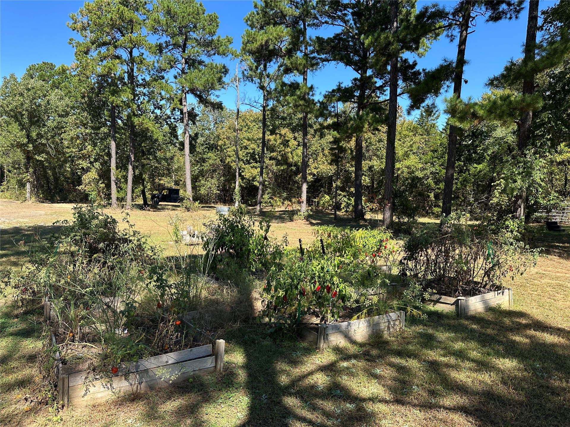 18288 Benson Property Photo 61