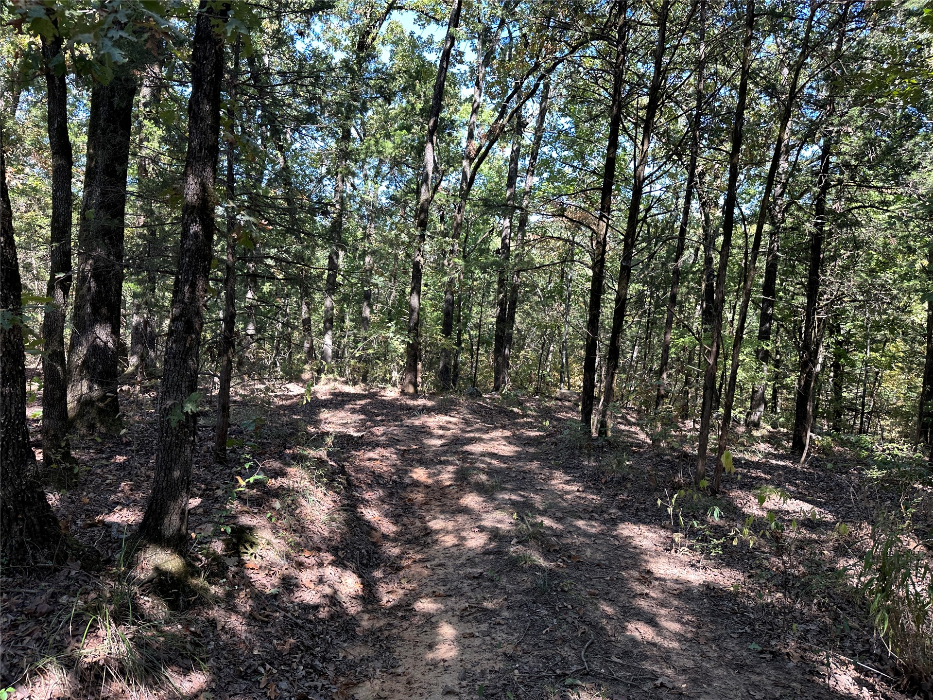 18288 Benson Property Photo 63