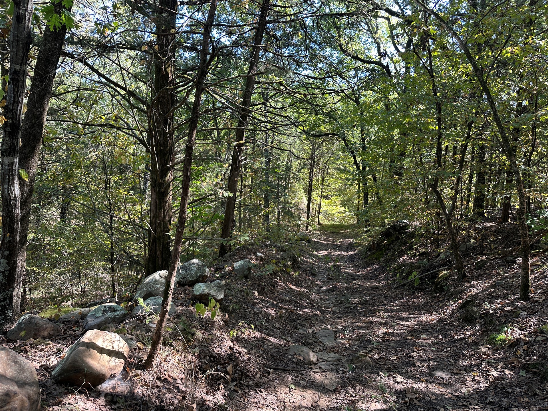 18288 Benson Property Photo 64