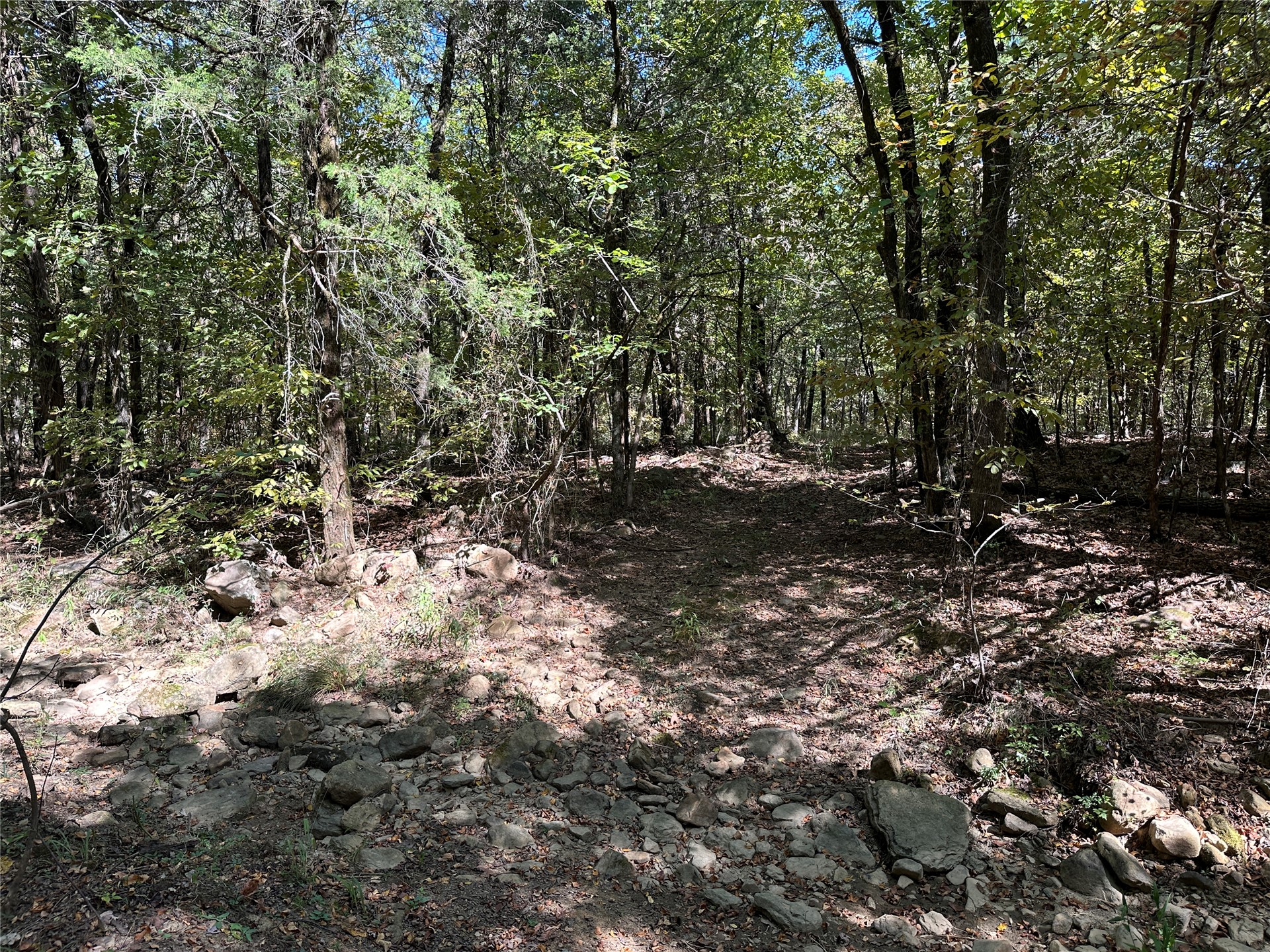 18288 Benson Property Photo 65