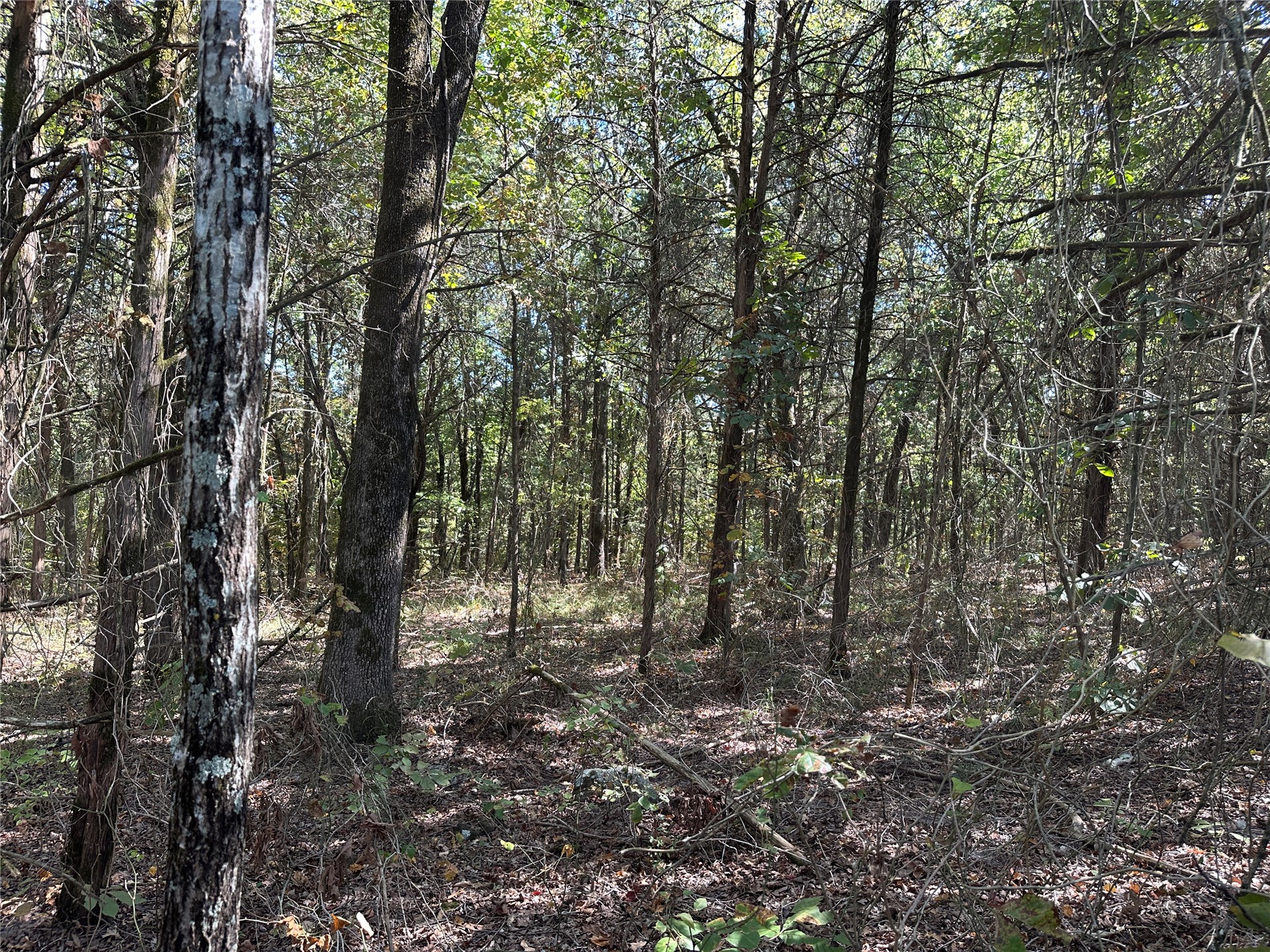 18288 Benson Property Photo 66