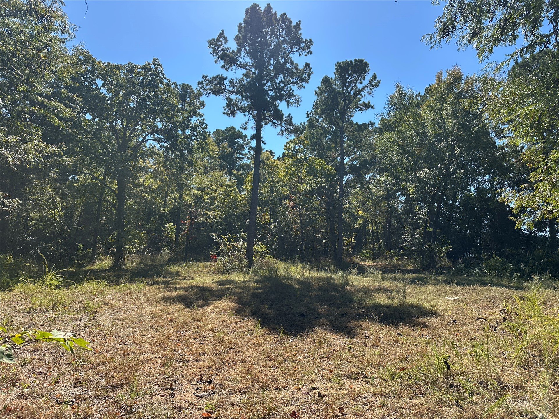 18288 Benson Property Photo 67