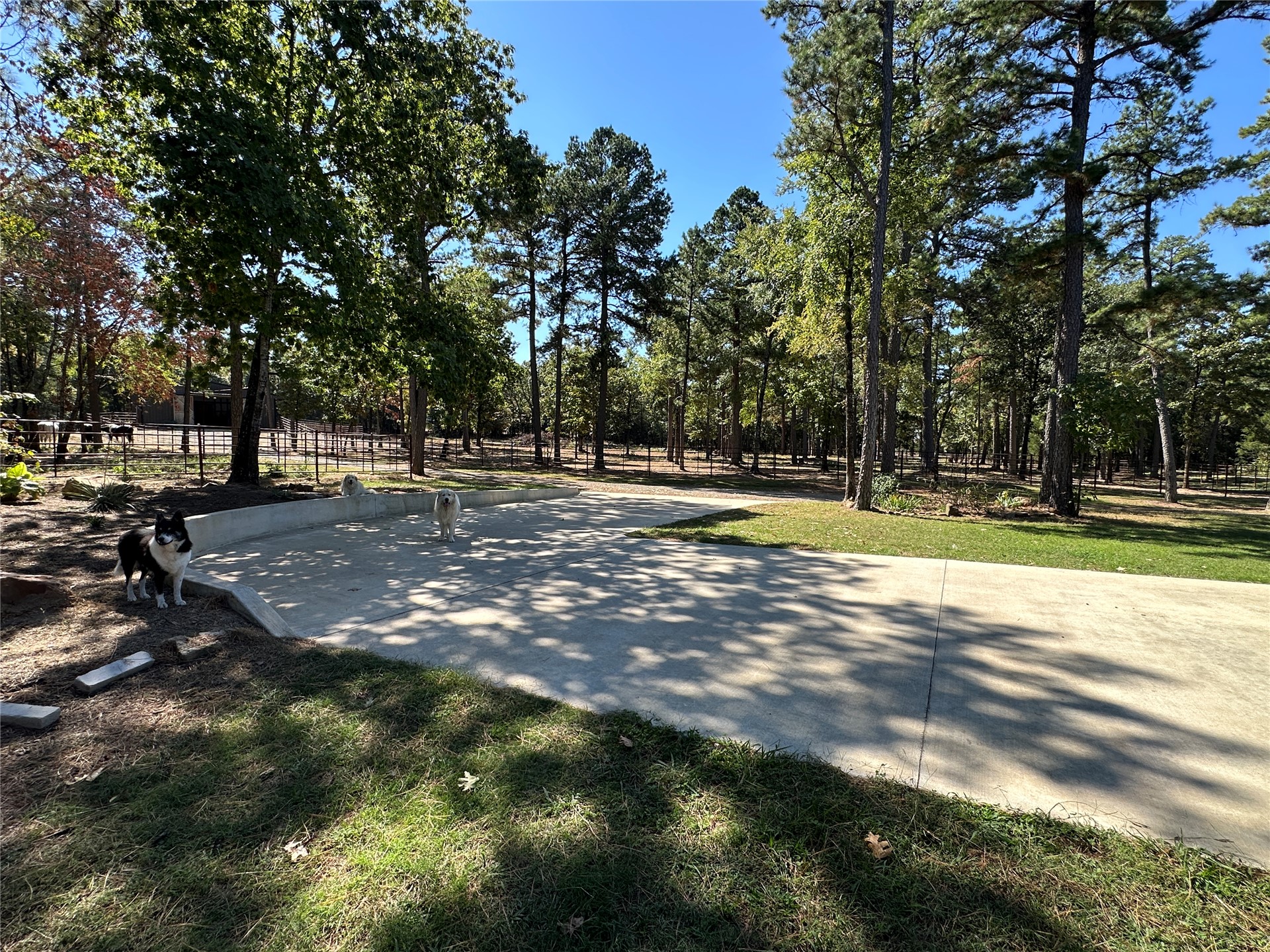 18288 Benson Property Photo 80