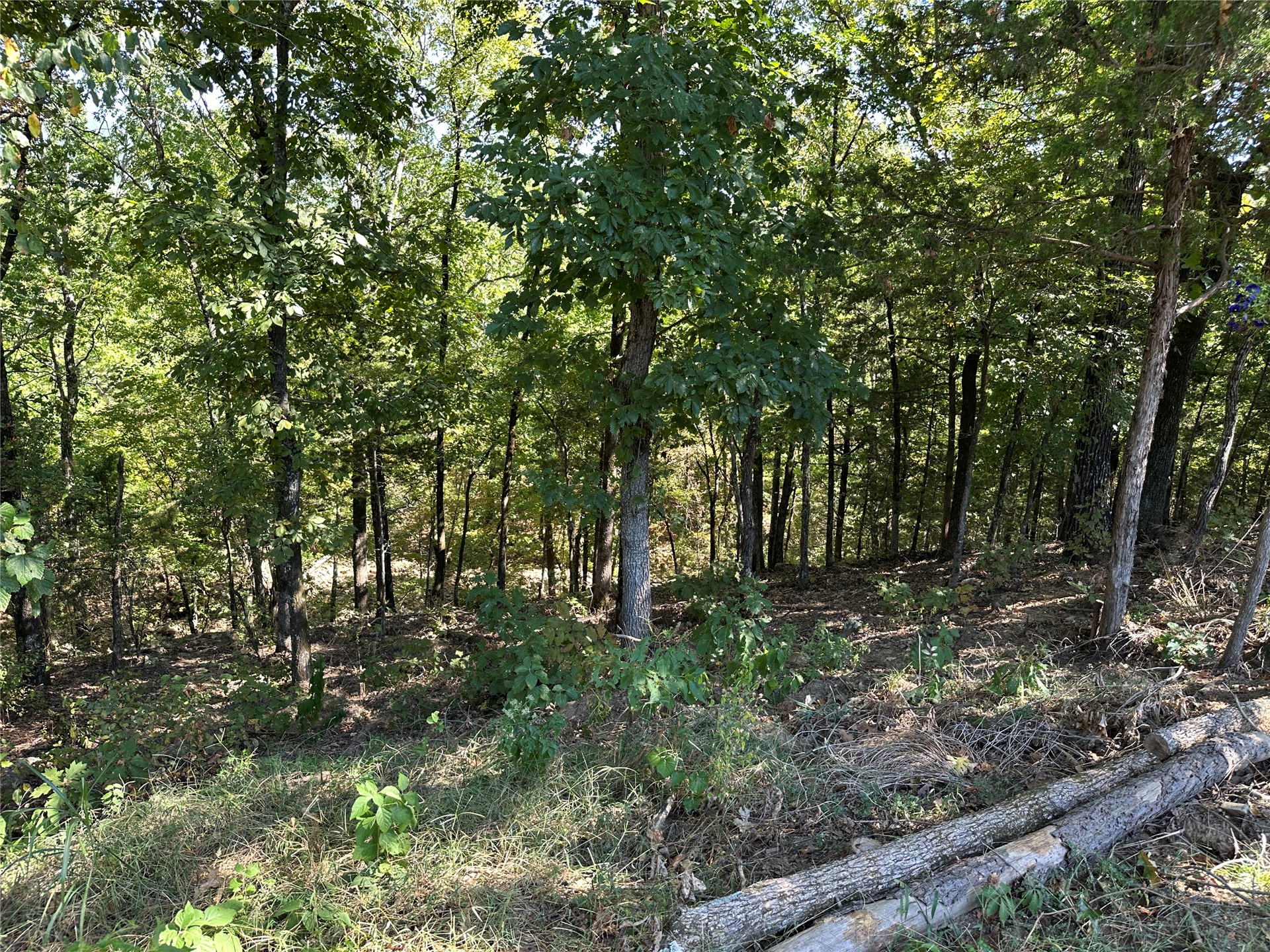 18288 Benson Property Photo 83
