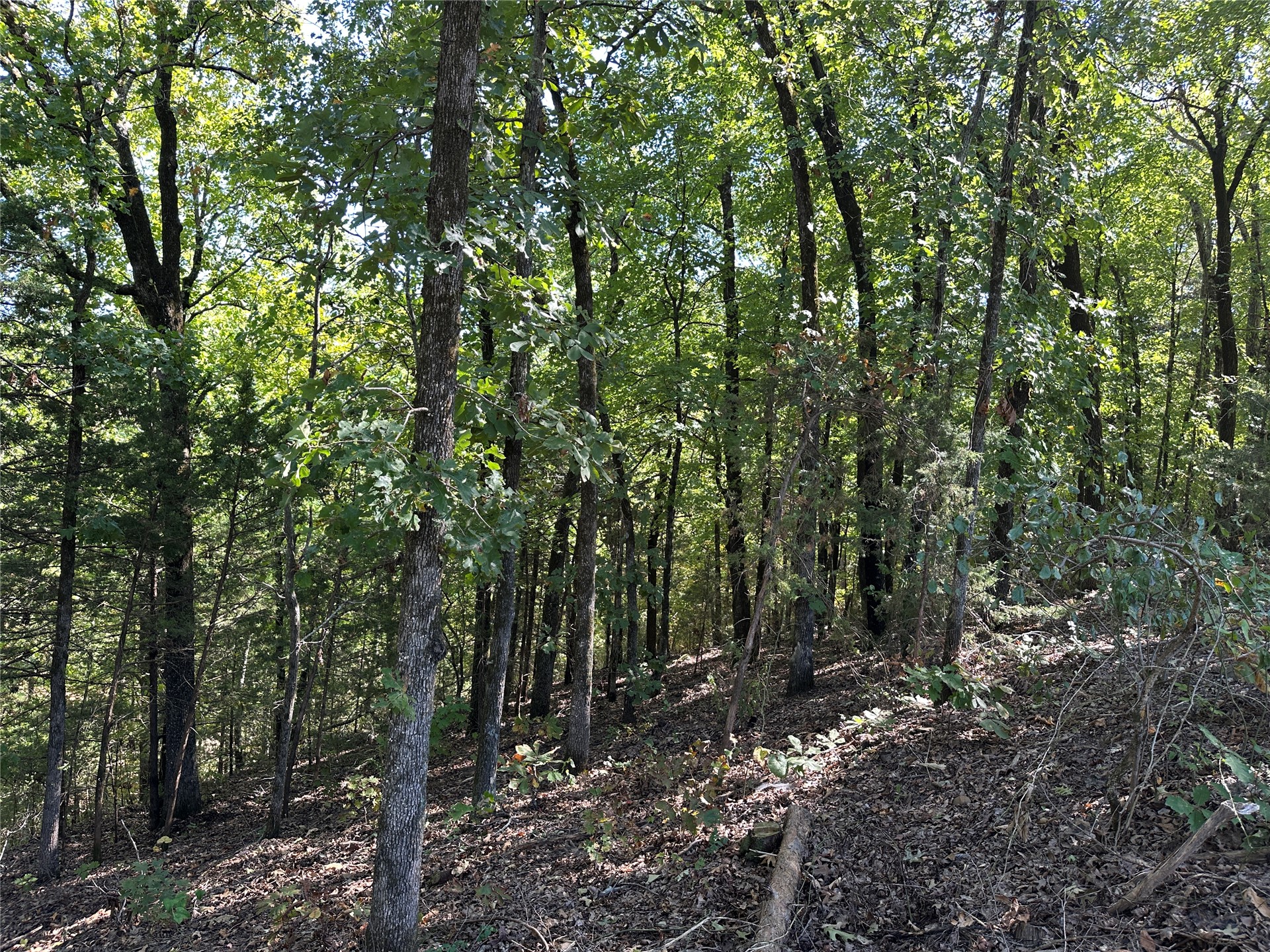 18288 Benson Property Photo 84