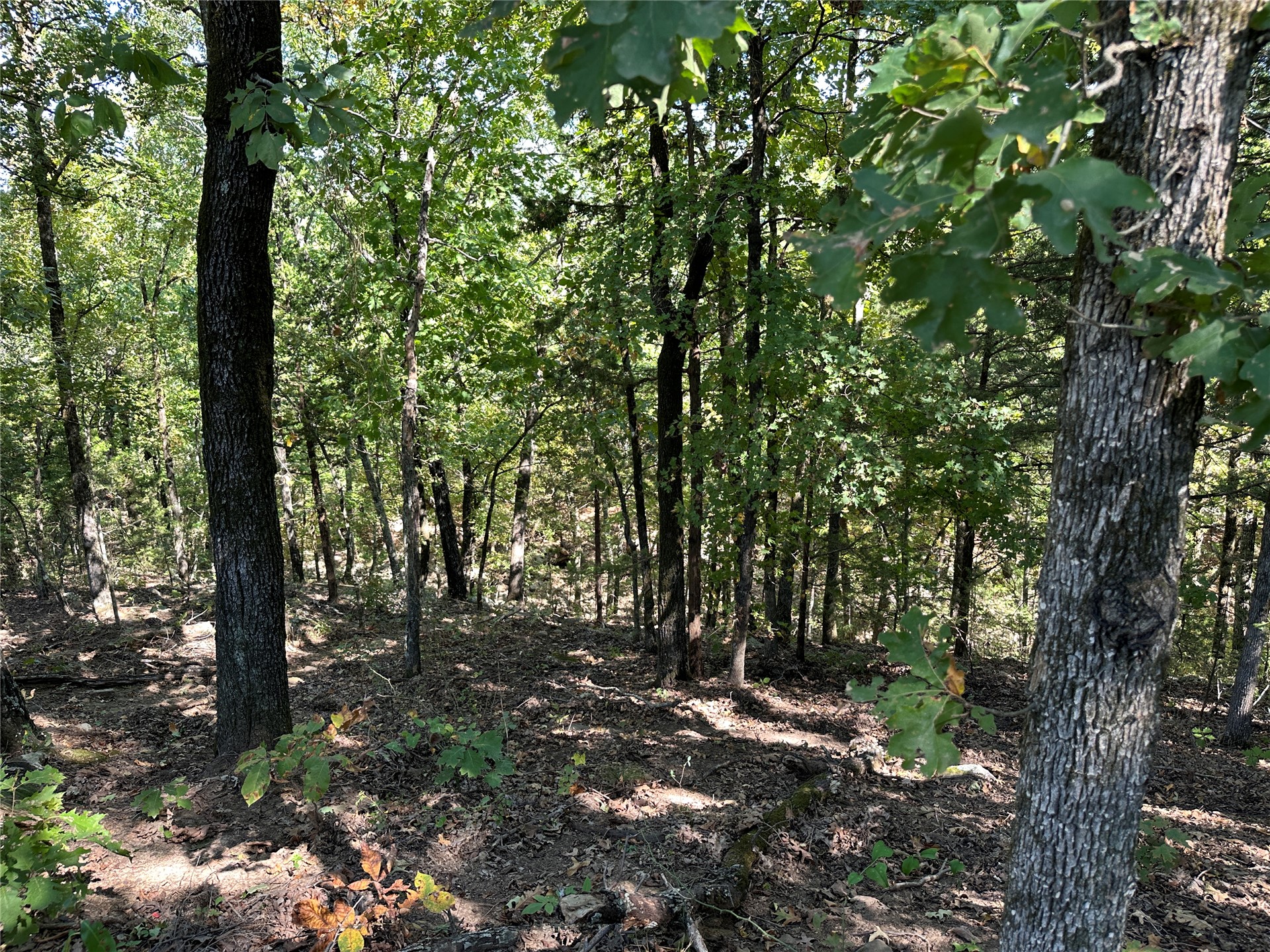 18288 Benson Property Photo 85