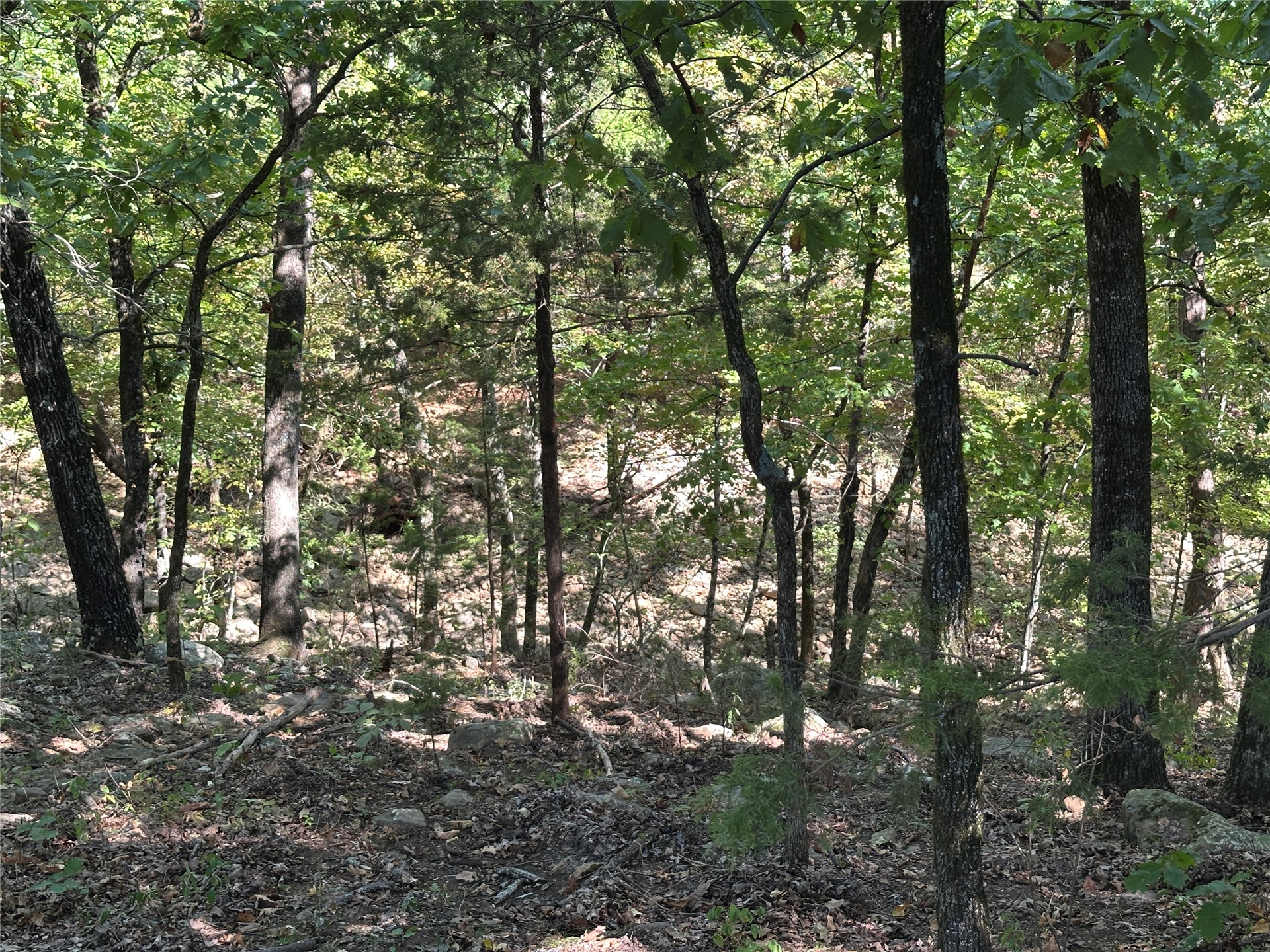 18288 Benson Property Photo 86