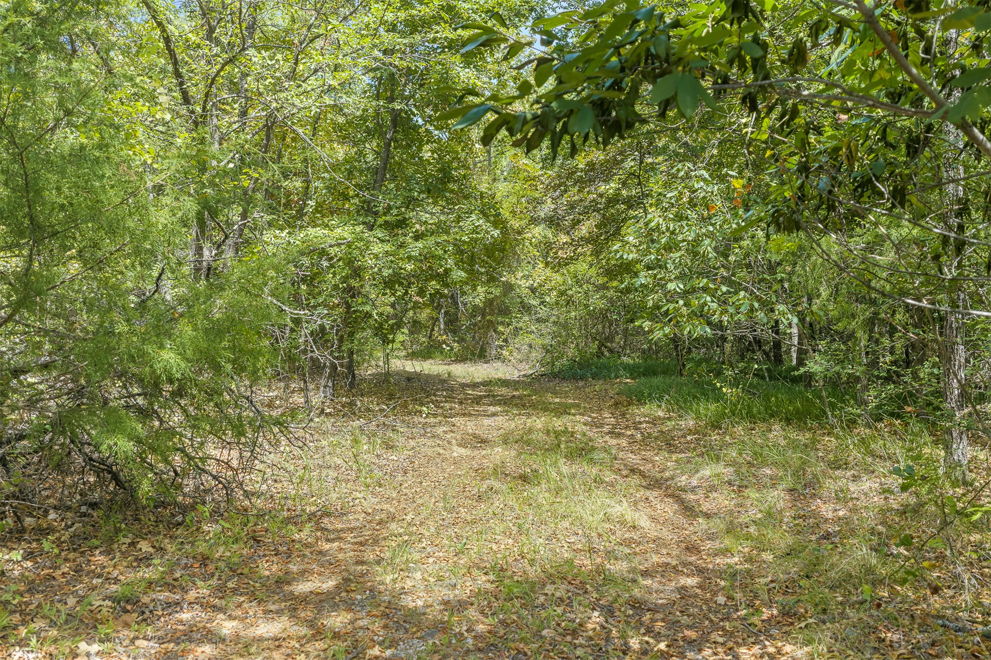 Durango Property Photo 9