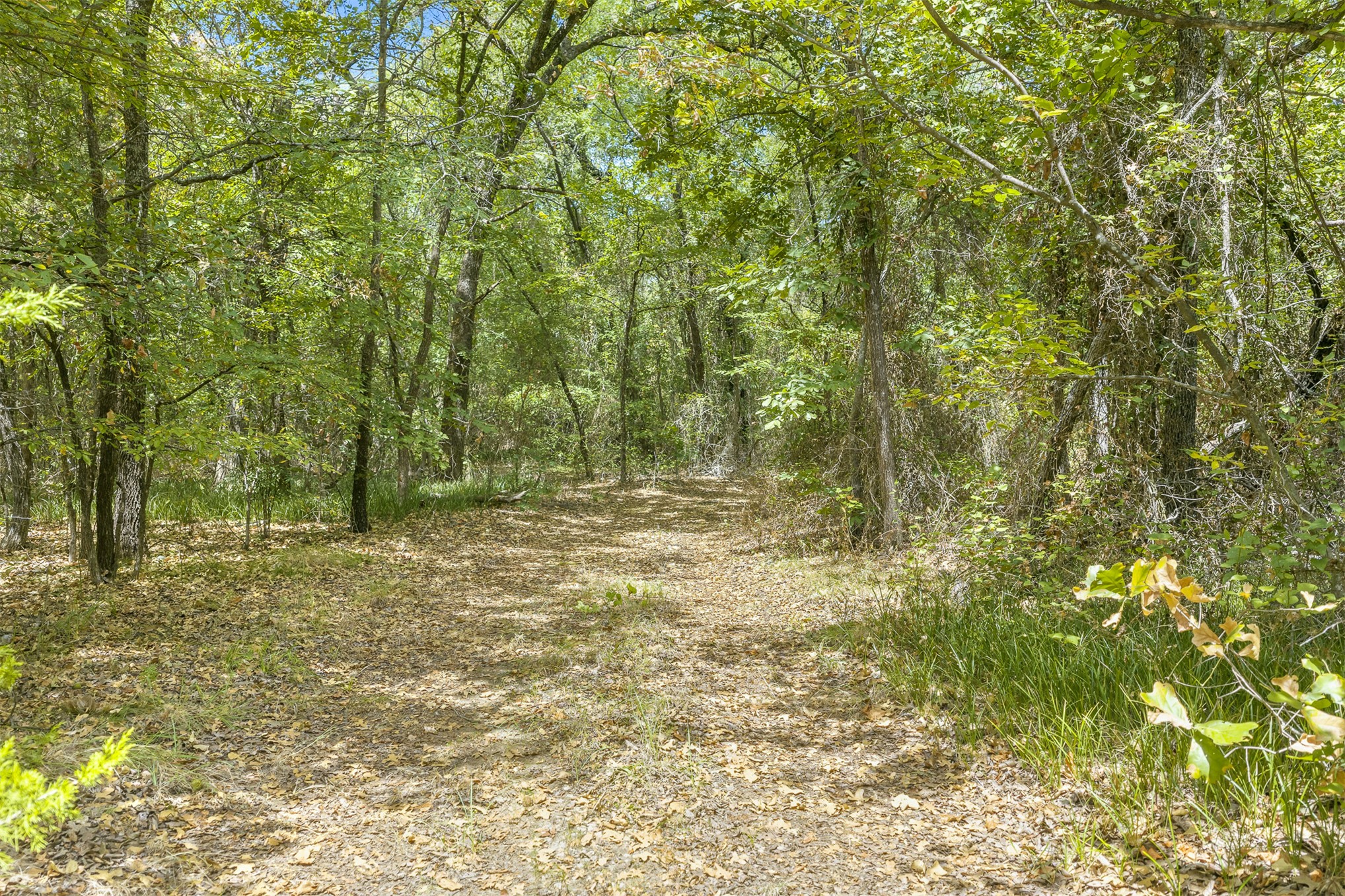 Durango Property Photo 10