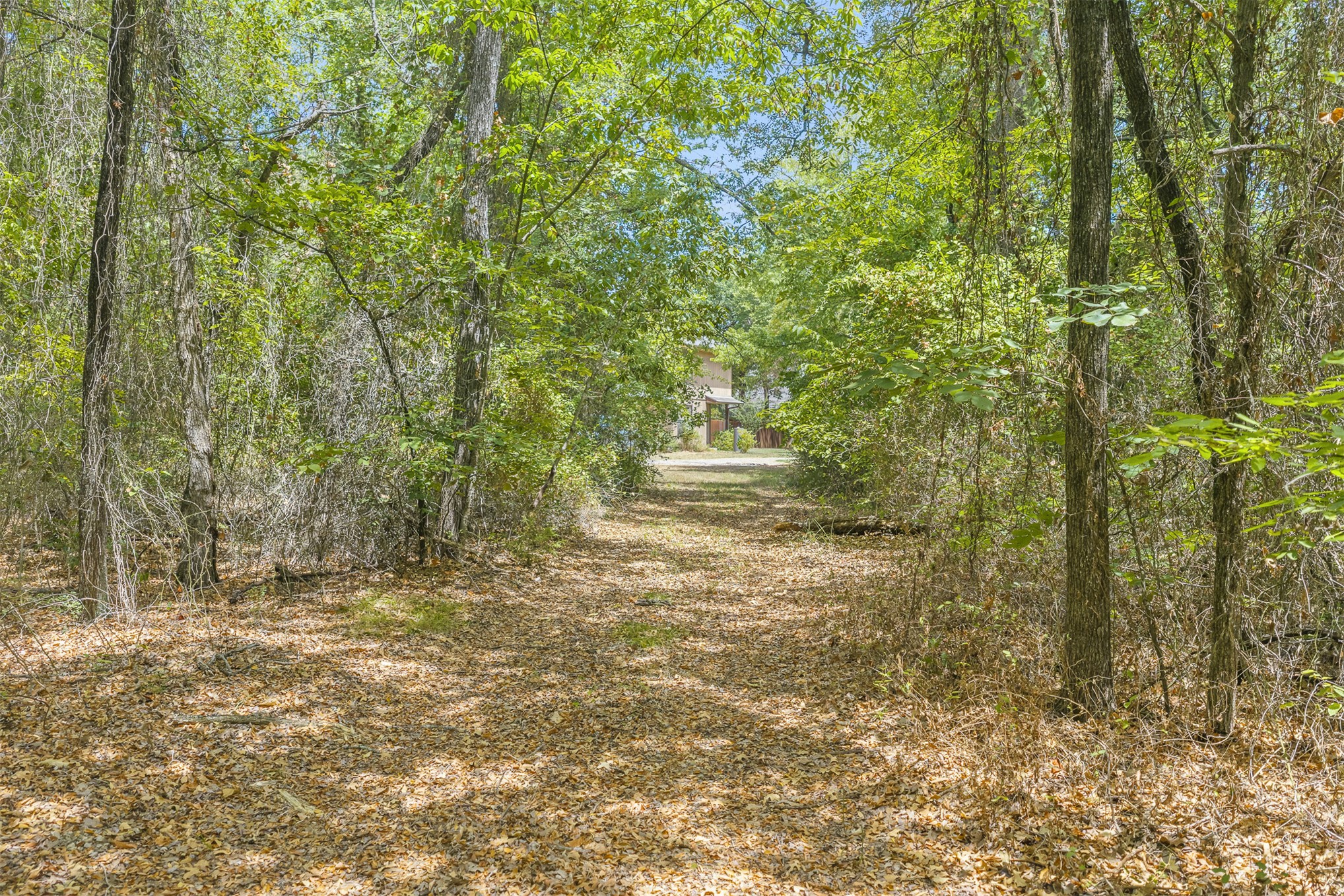 Durango Property Photo 11