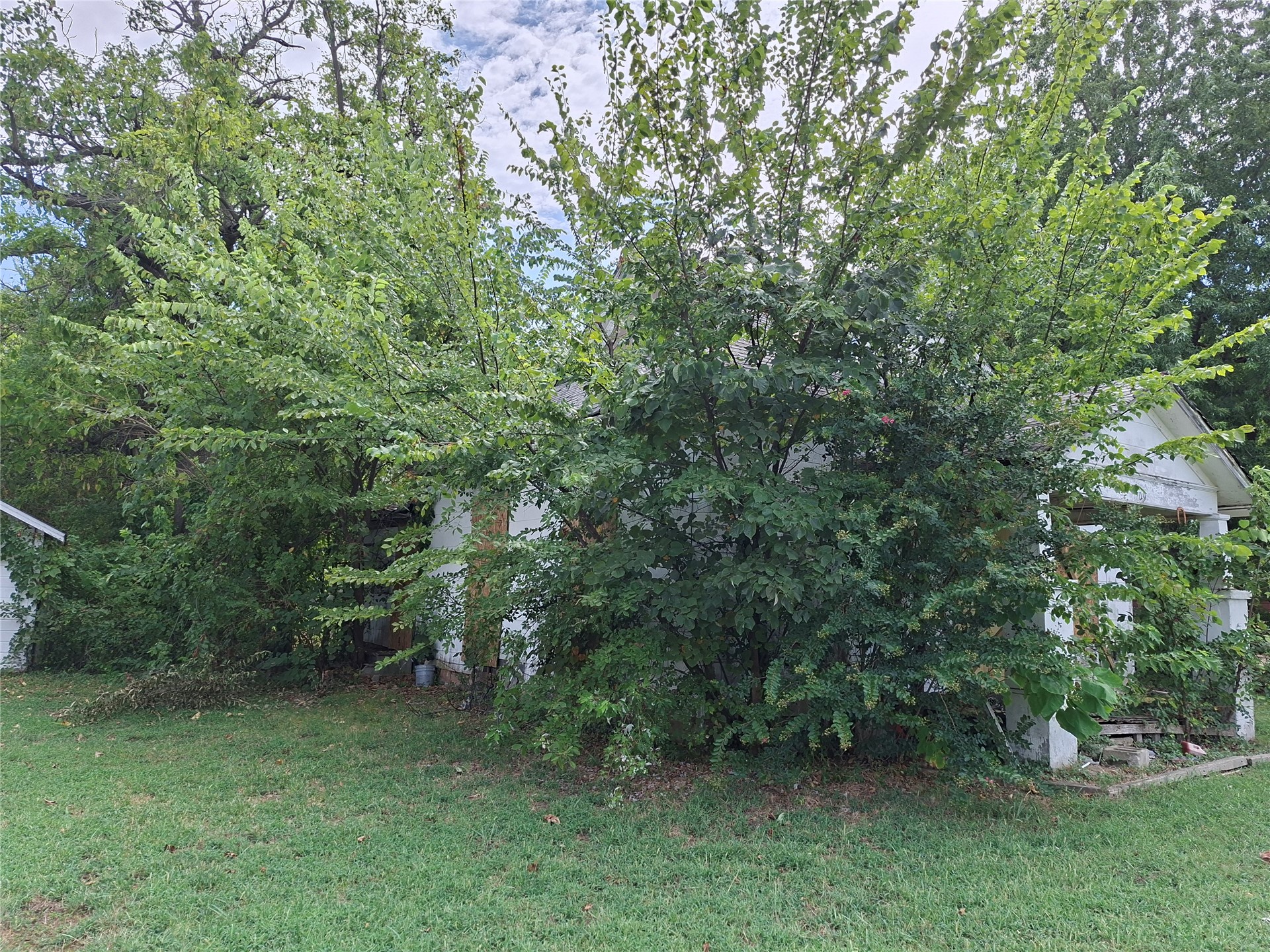 1109 E Broadway Property Photo 9