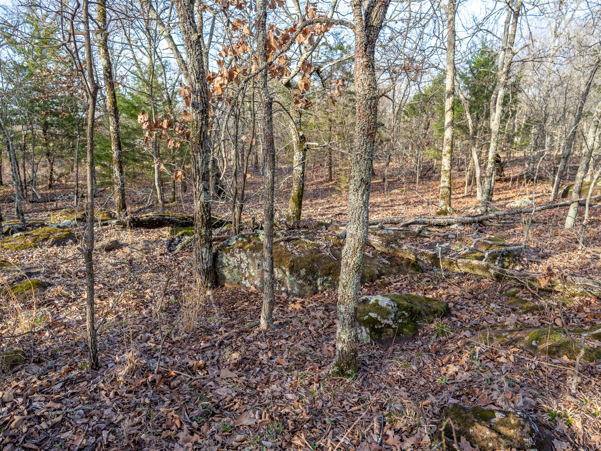1 E 1110 Road Property Photo 26