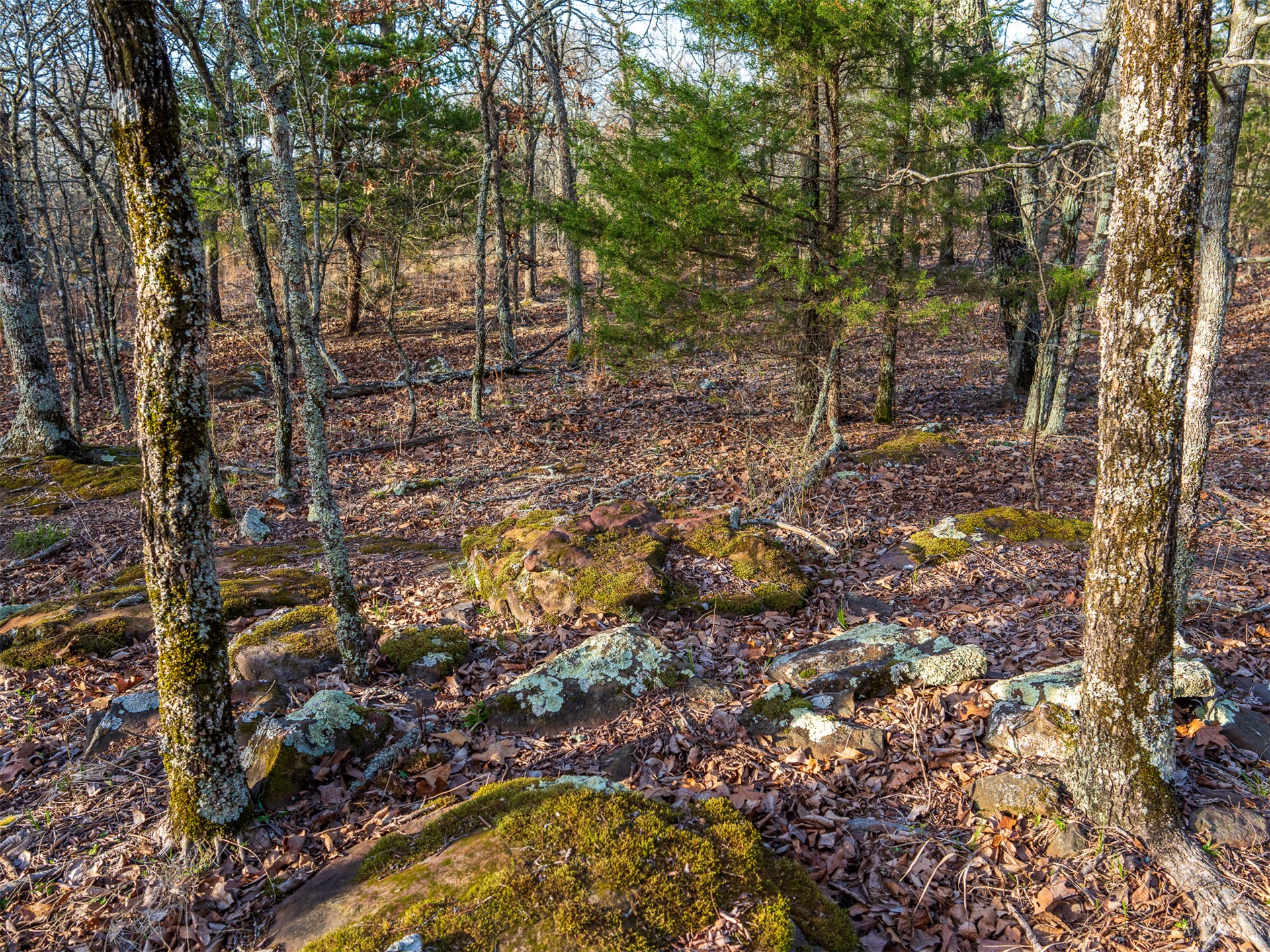1 E 1110 Road Property Photo 28