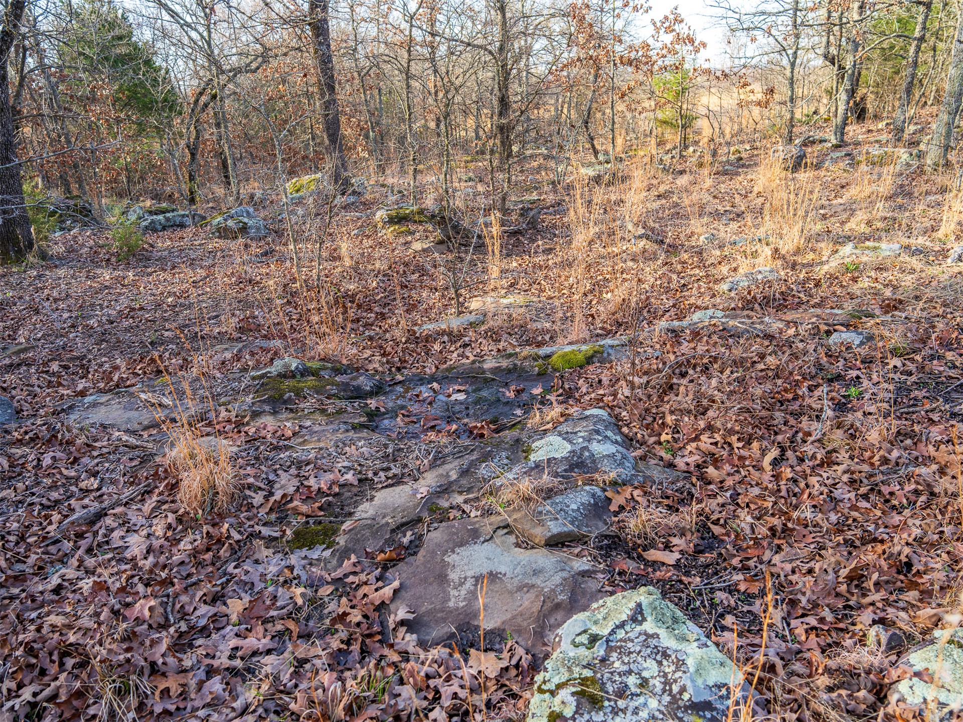 1 E 1110 Road Property Photo 29