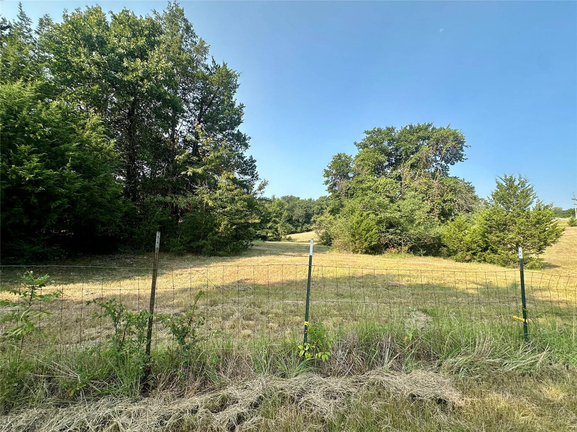 236 Reaves Lane Property Photo 21