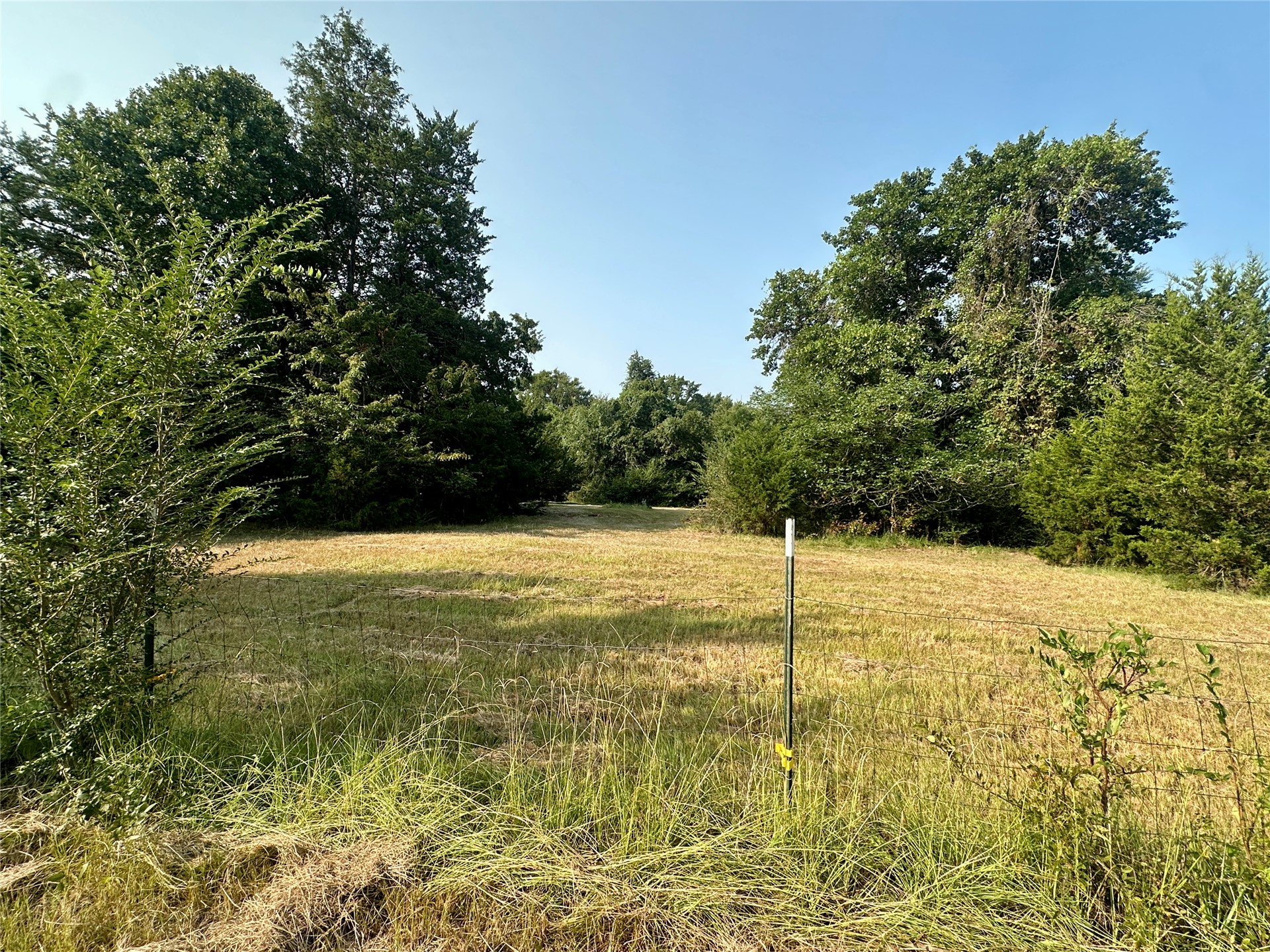 236 Reaves Lane Property Photo 22