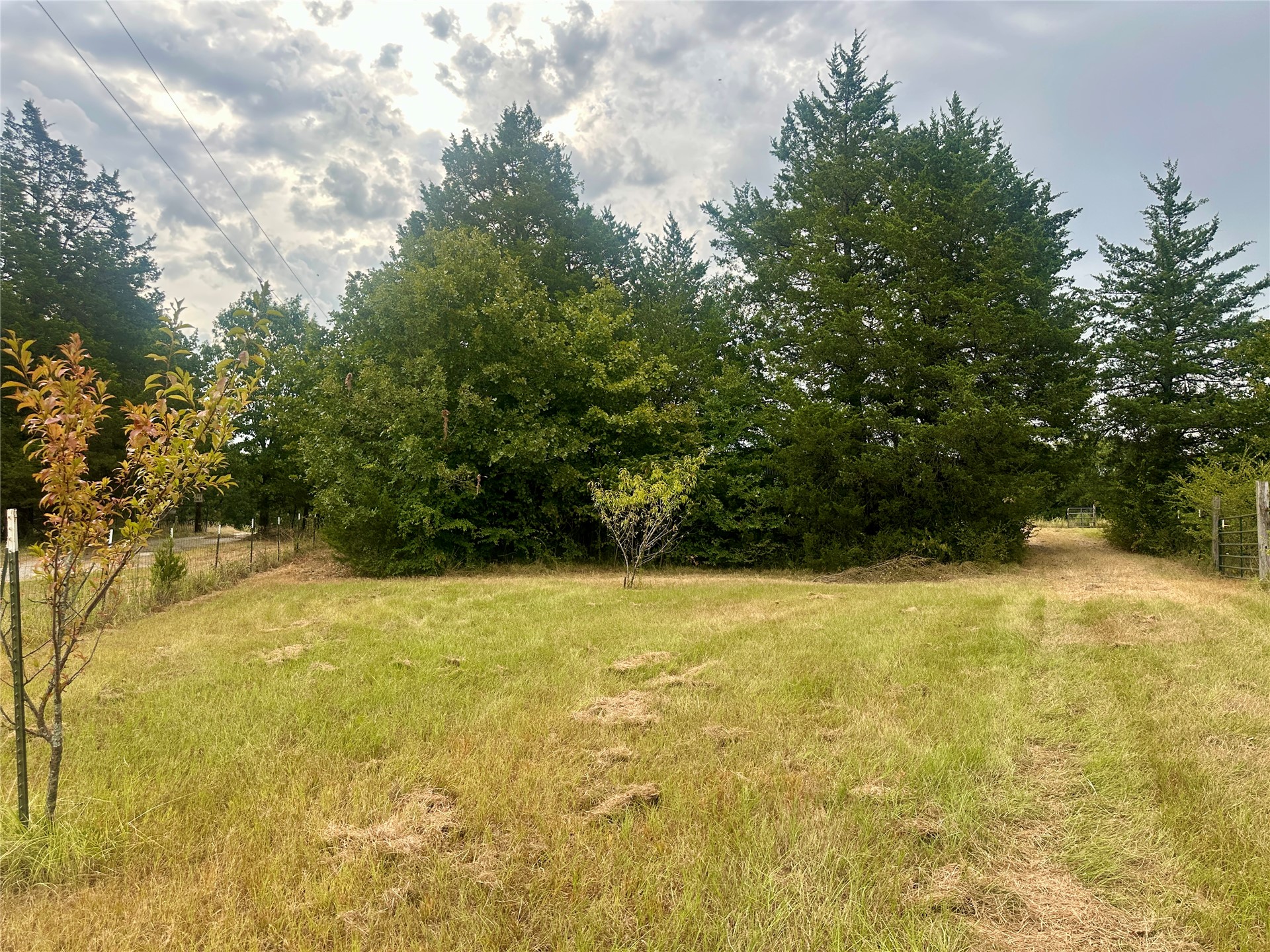 236 Reaves Lane Property Photo 29