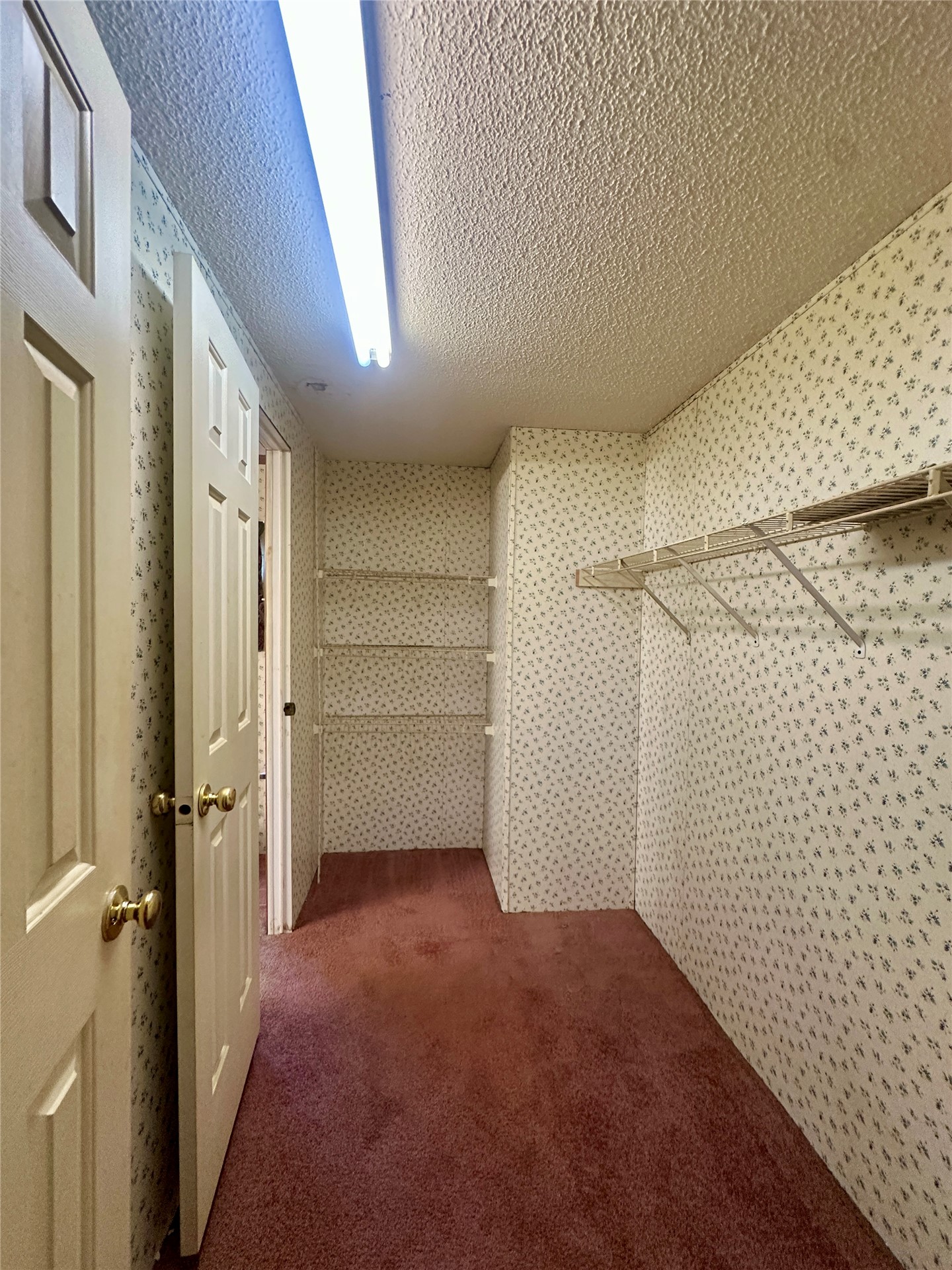 236 Reaves Lane Property Photo 70