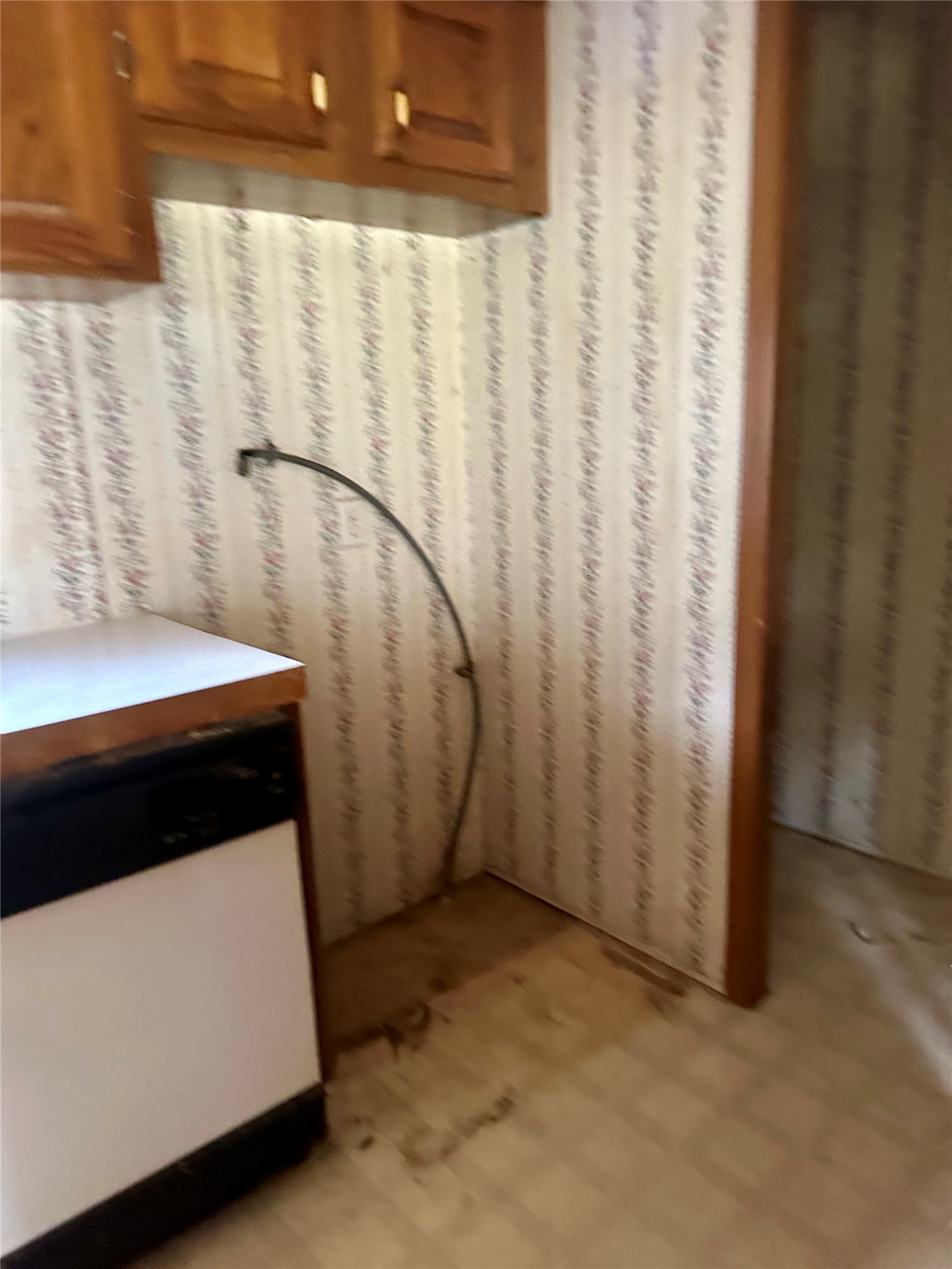 236 Reaves Lane Property Photo 89