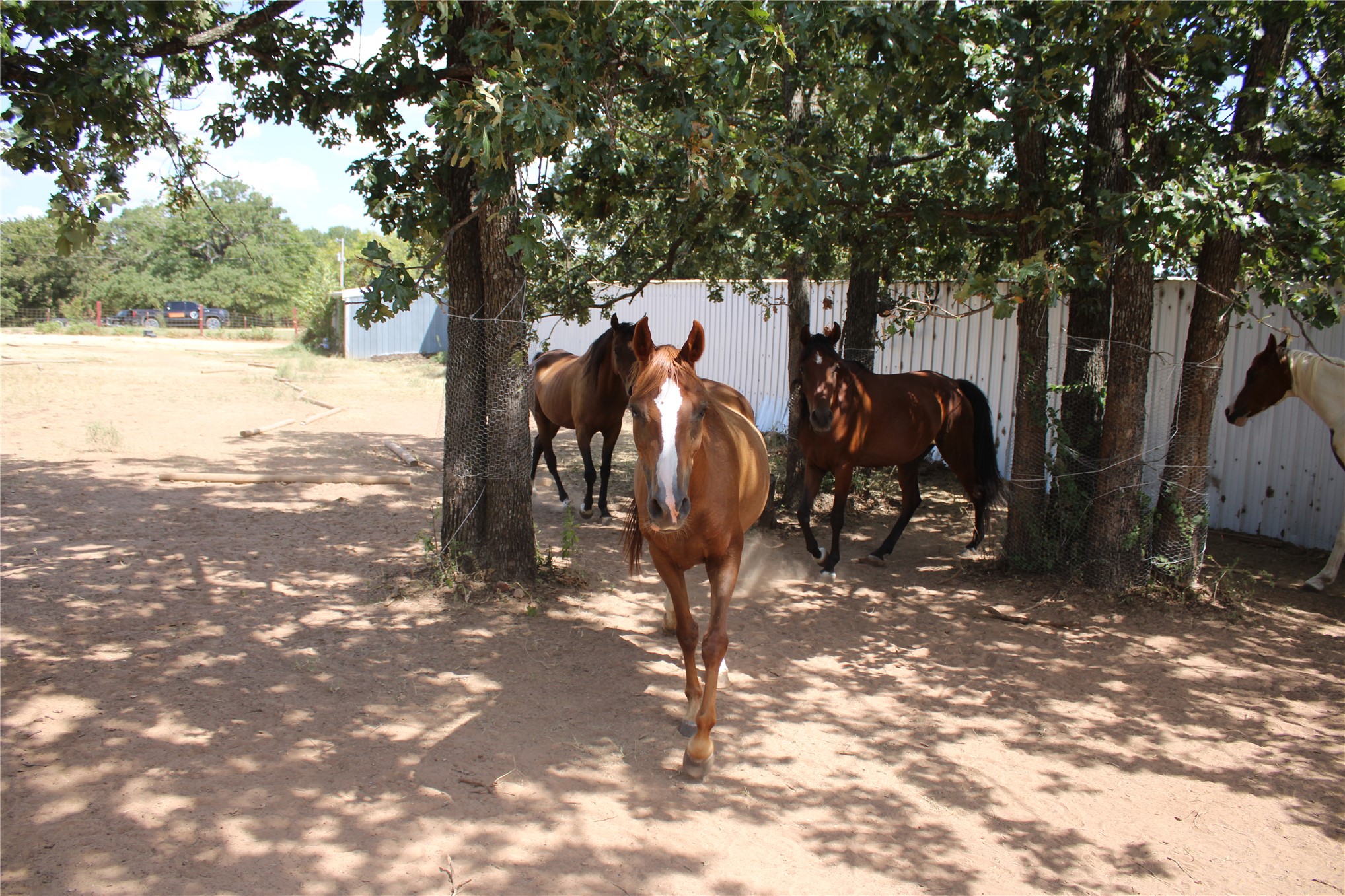359191 E 970 Road Property Photo 25