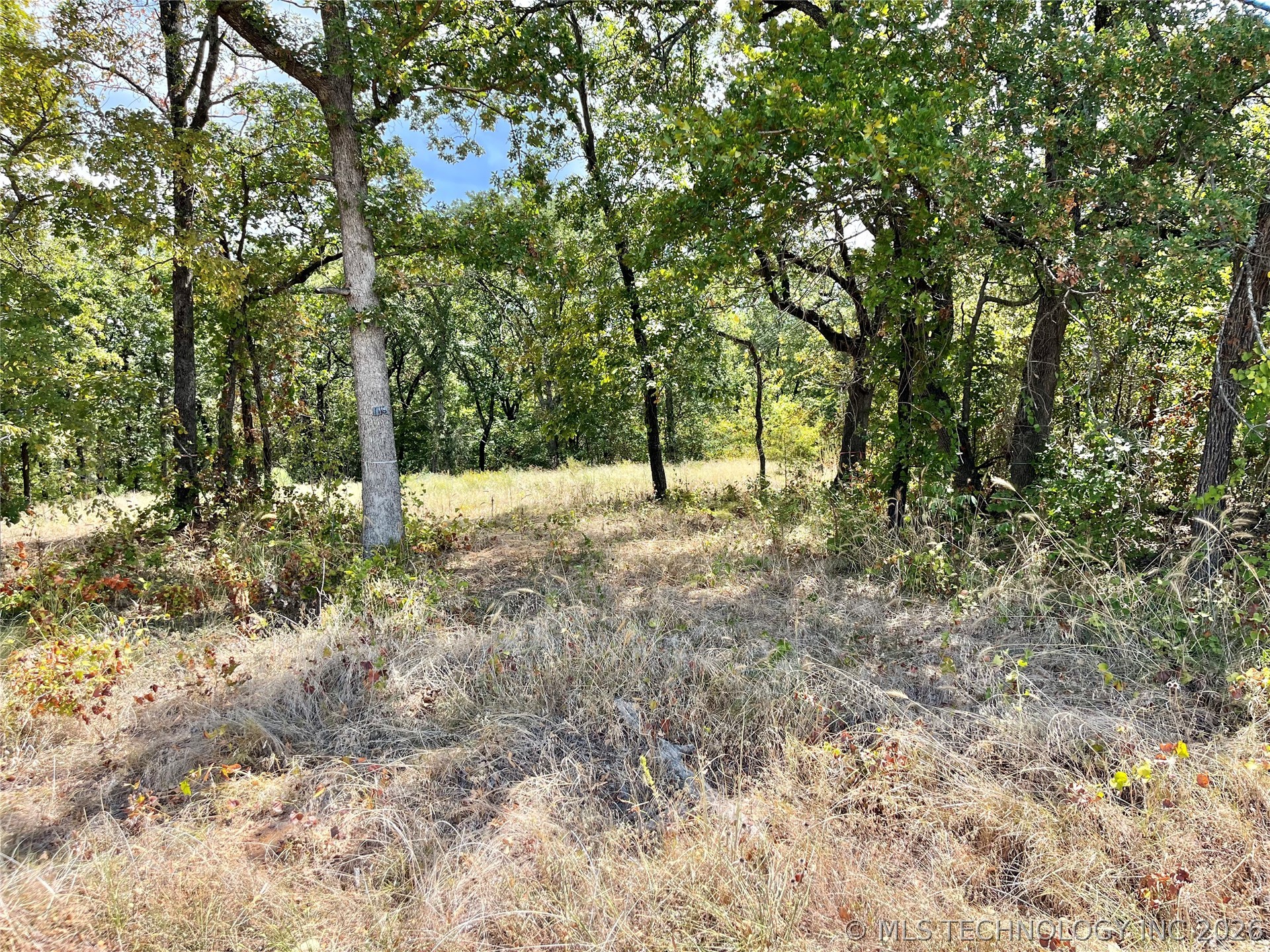 Texoma Park Road Property Photo 2