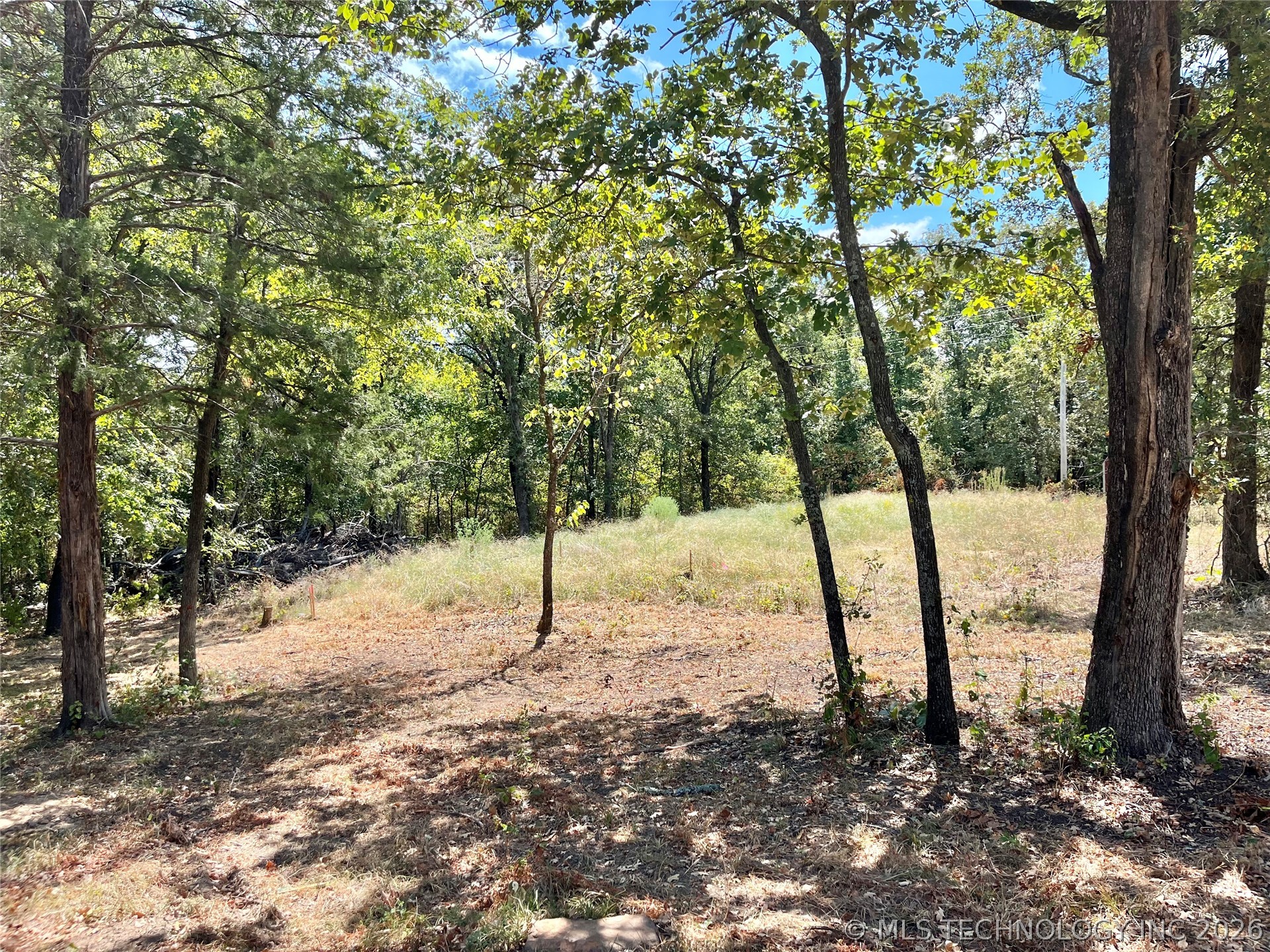 Texoma Park Road Property Photo 3
