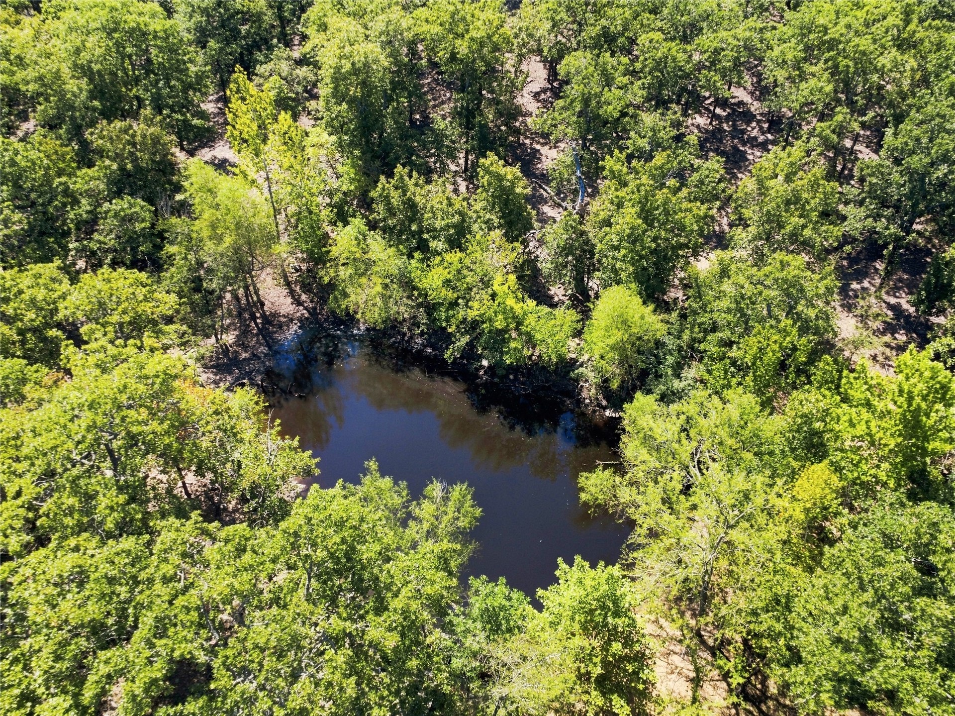19173 Kellyville Ranch Road Property Photo 6