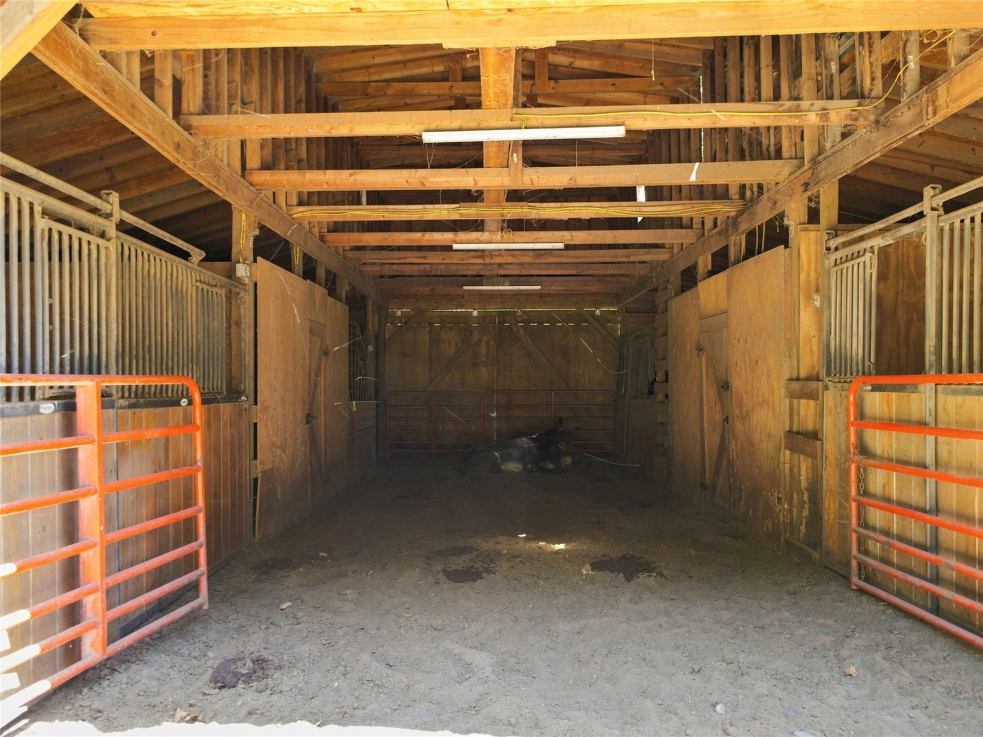 19173 Kellyville Ranch Road Property Photo 56