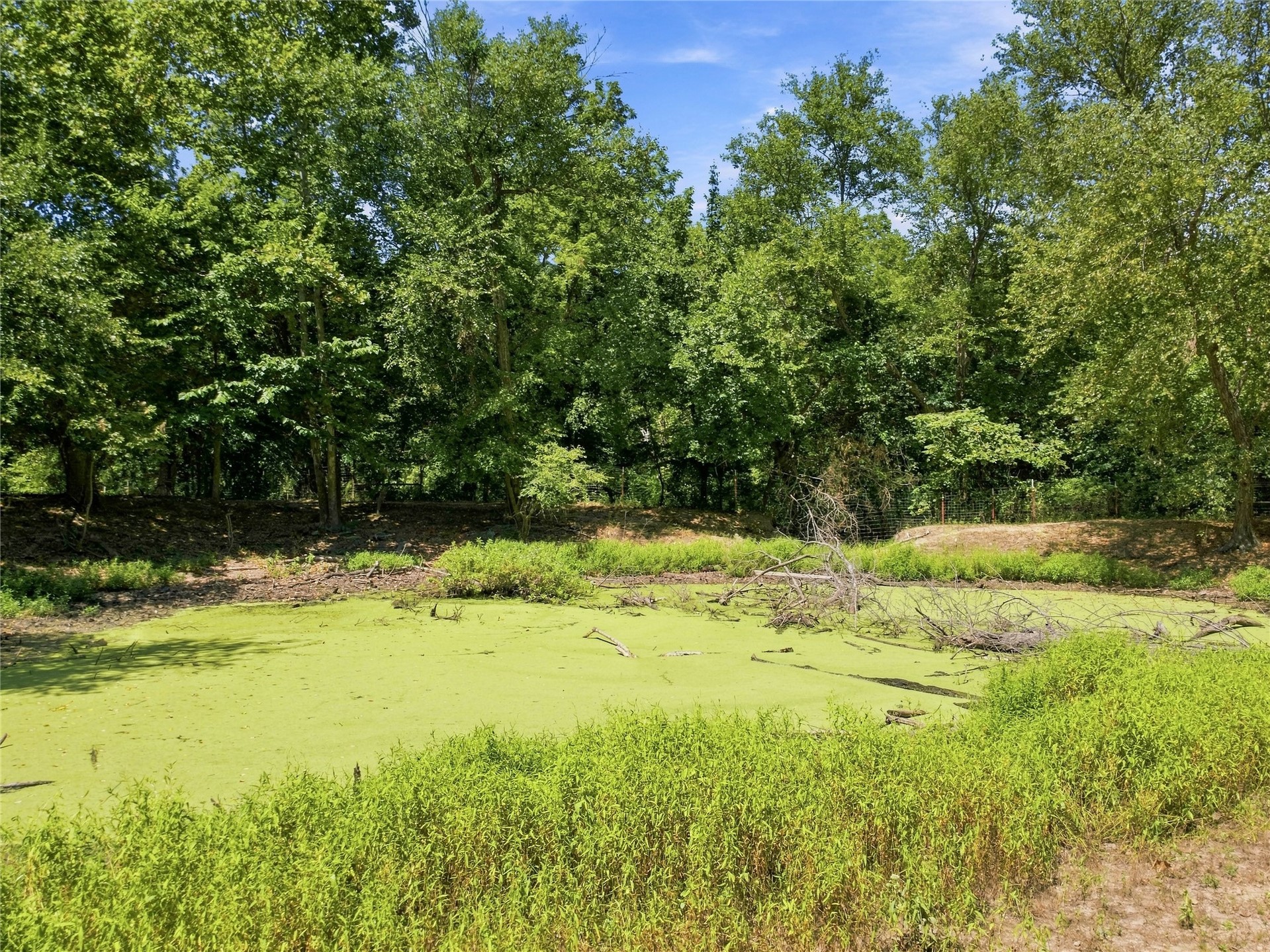 19173 Kellyville Ranch Road Property Photo 62
