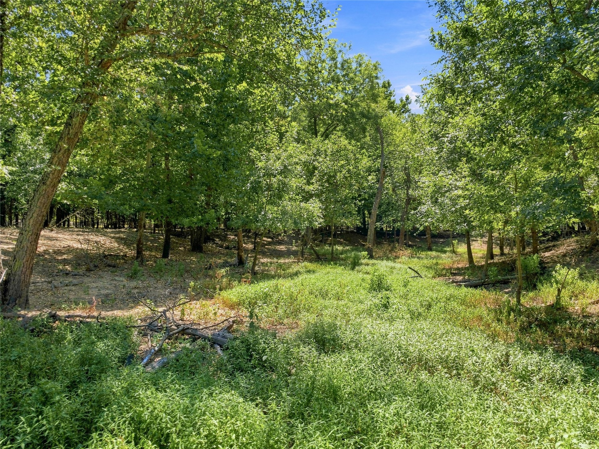 19173 Kellyville Ranch Road Property Photo 63