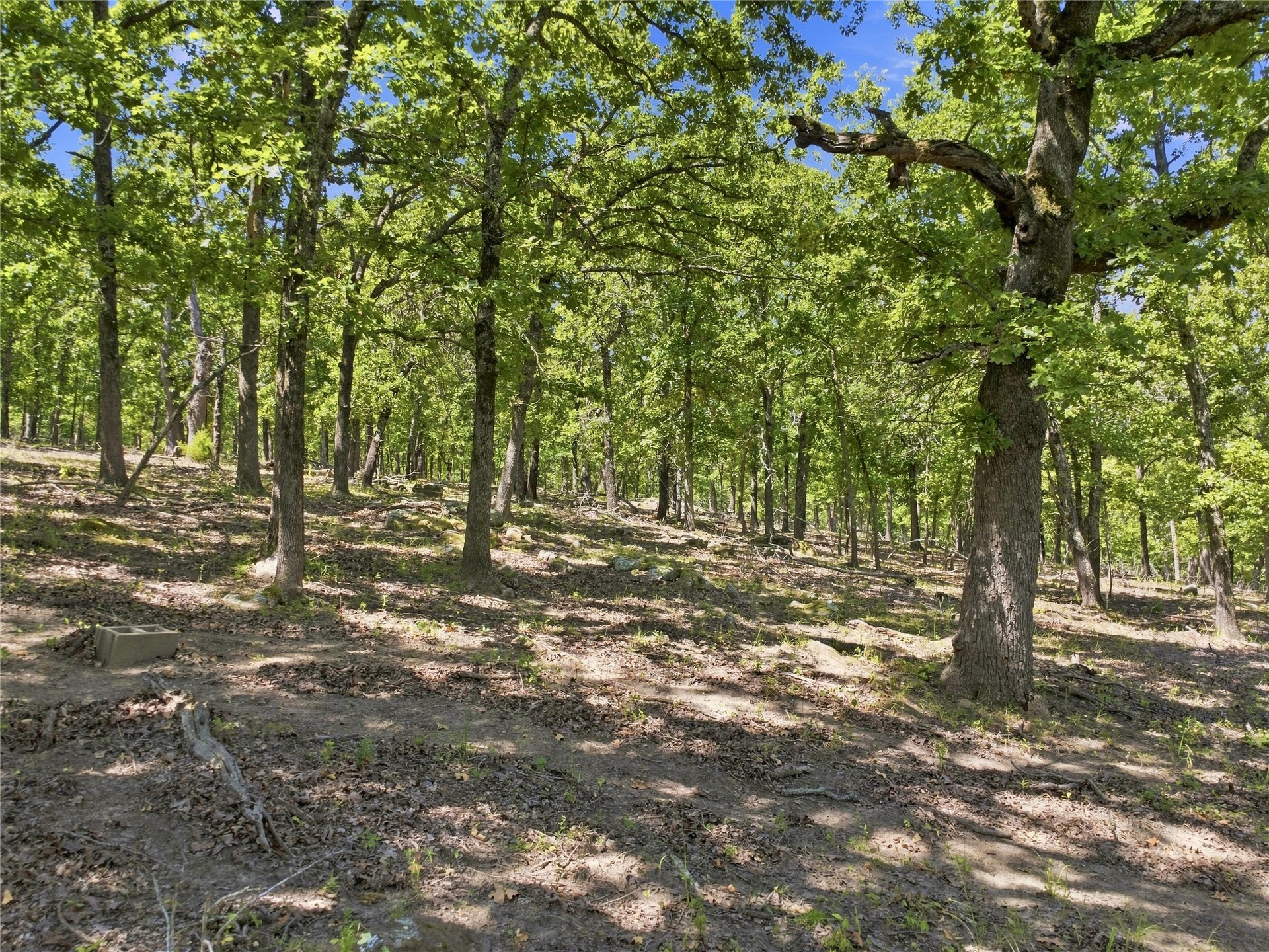 19173 Kellyville Ranch Road Property Photo 66