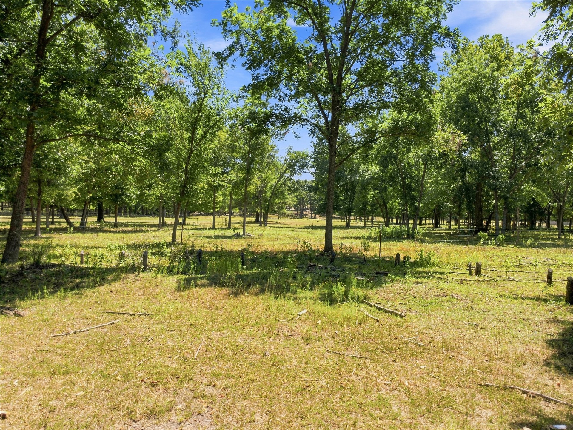 19173 Kellyville Ranch Road Property Photo 69