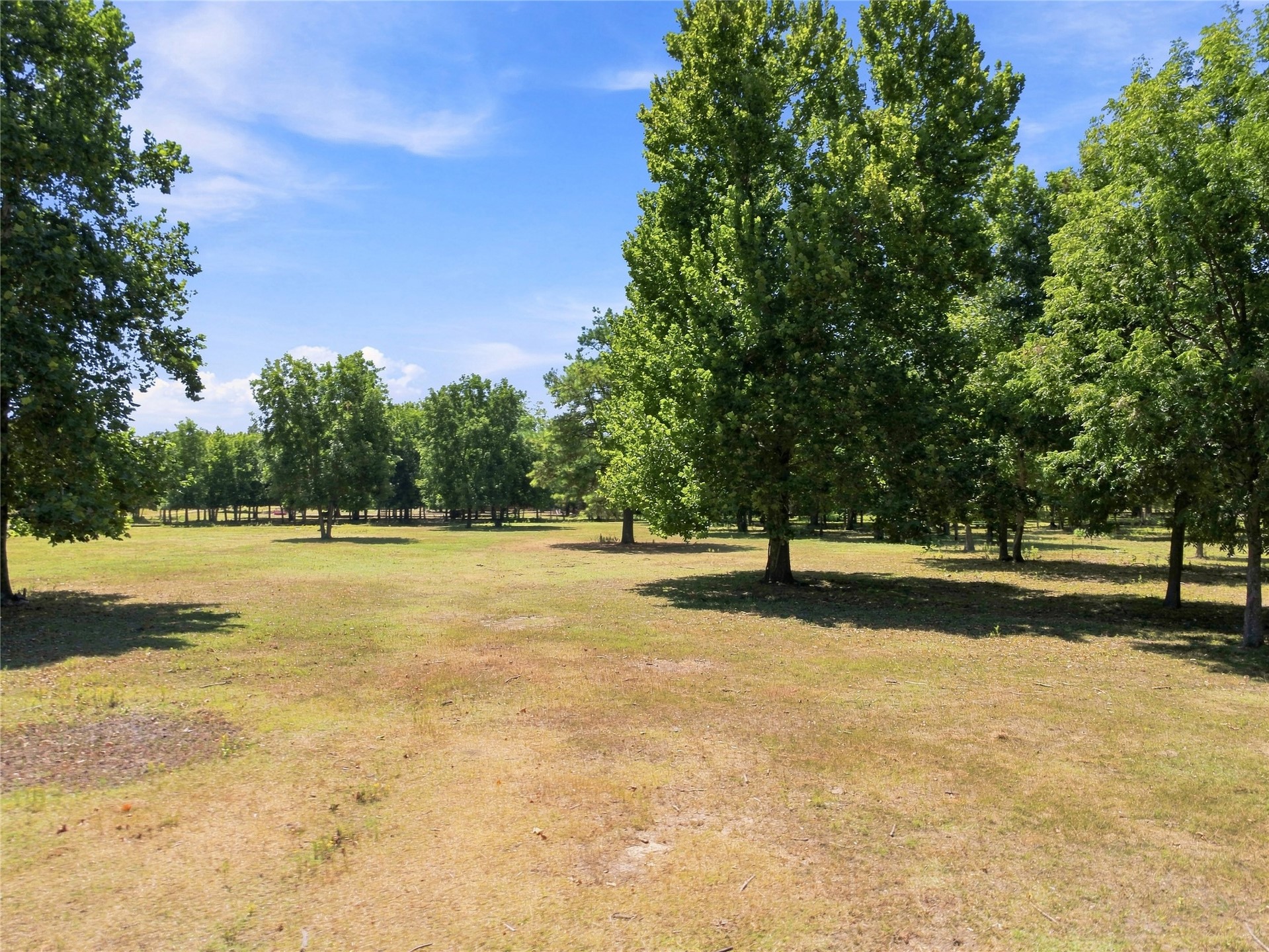 19173 Kellyville Ranch Road Property Photo 71