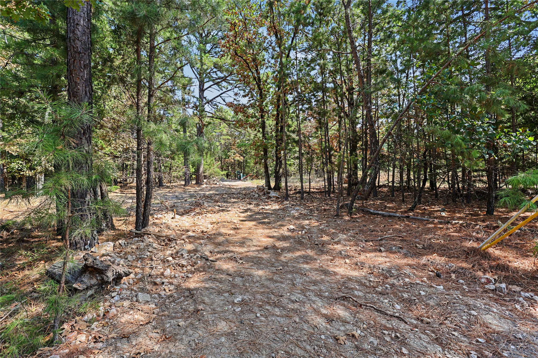 1079 Ridge Drive Property Photo 4