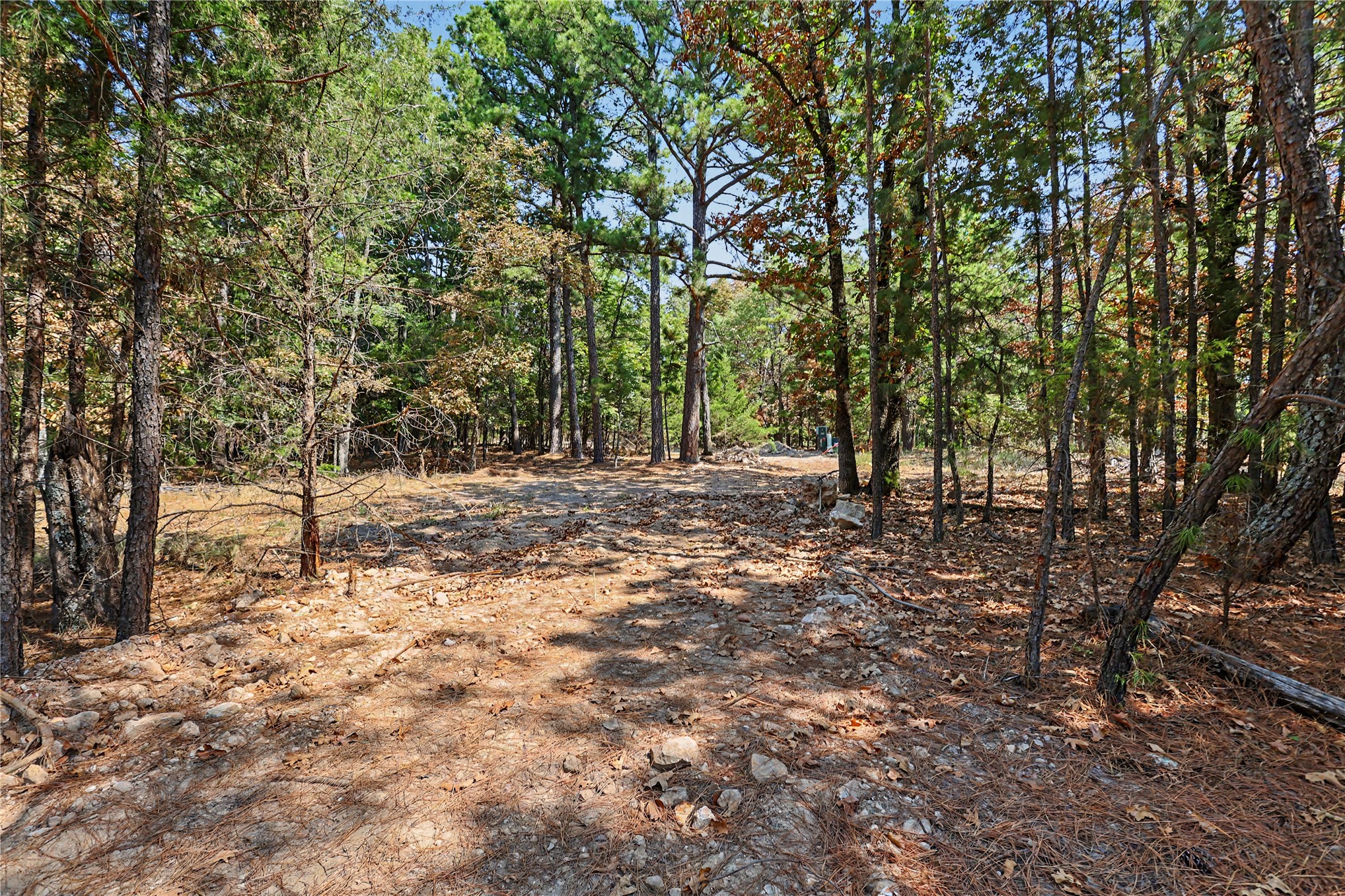 1079 Ridge Drive Property Photo 5
