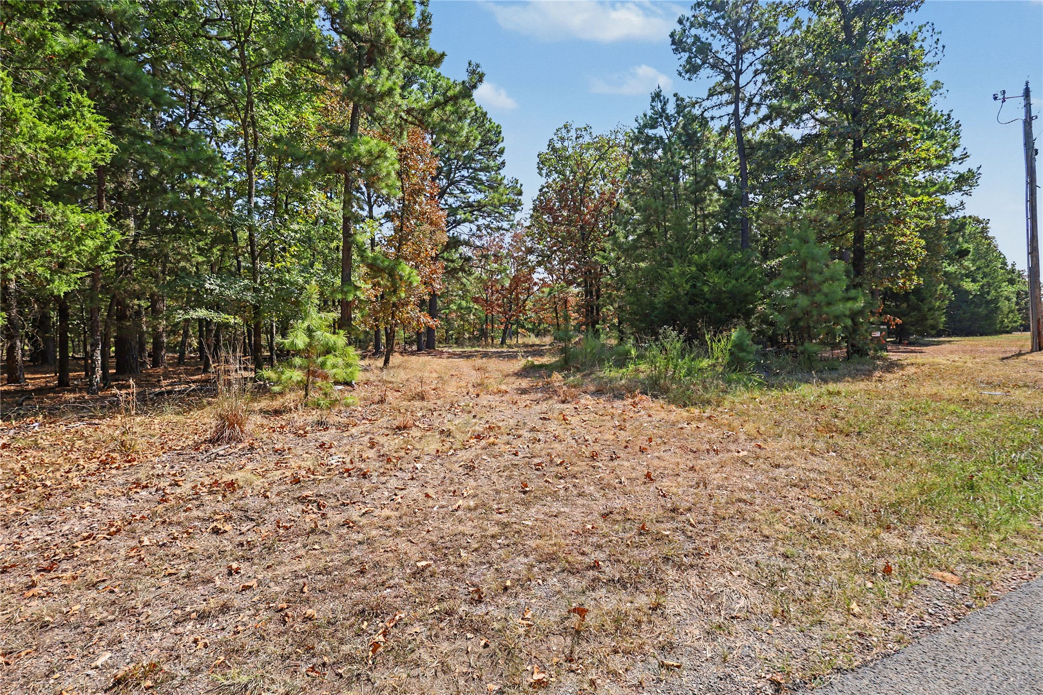 1079 Ridge Drive Property Photo 10