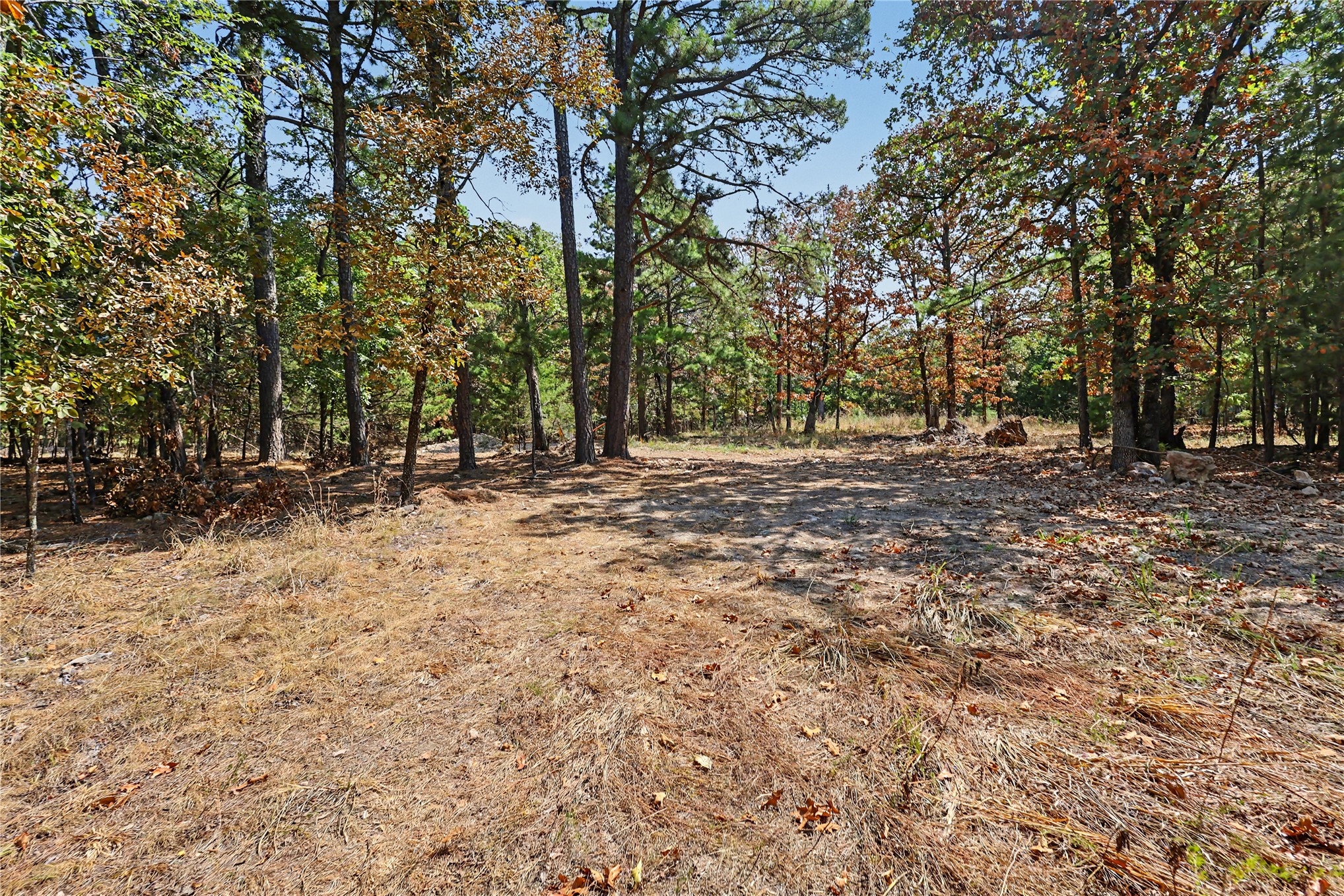 1079 Ridge Drive Property Photo 11
