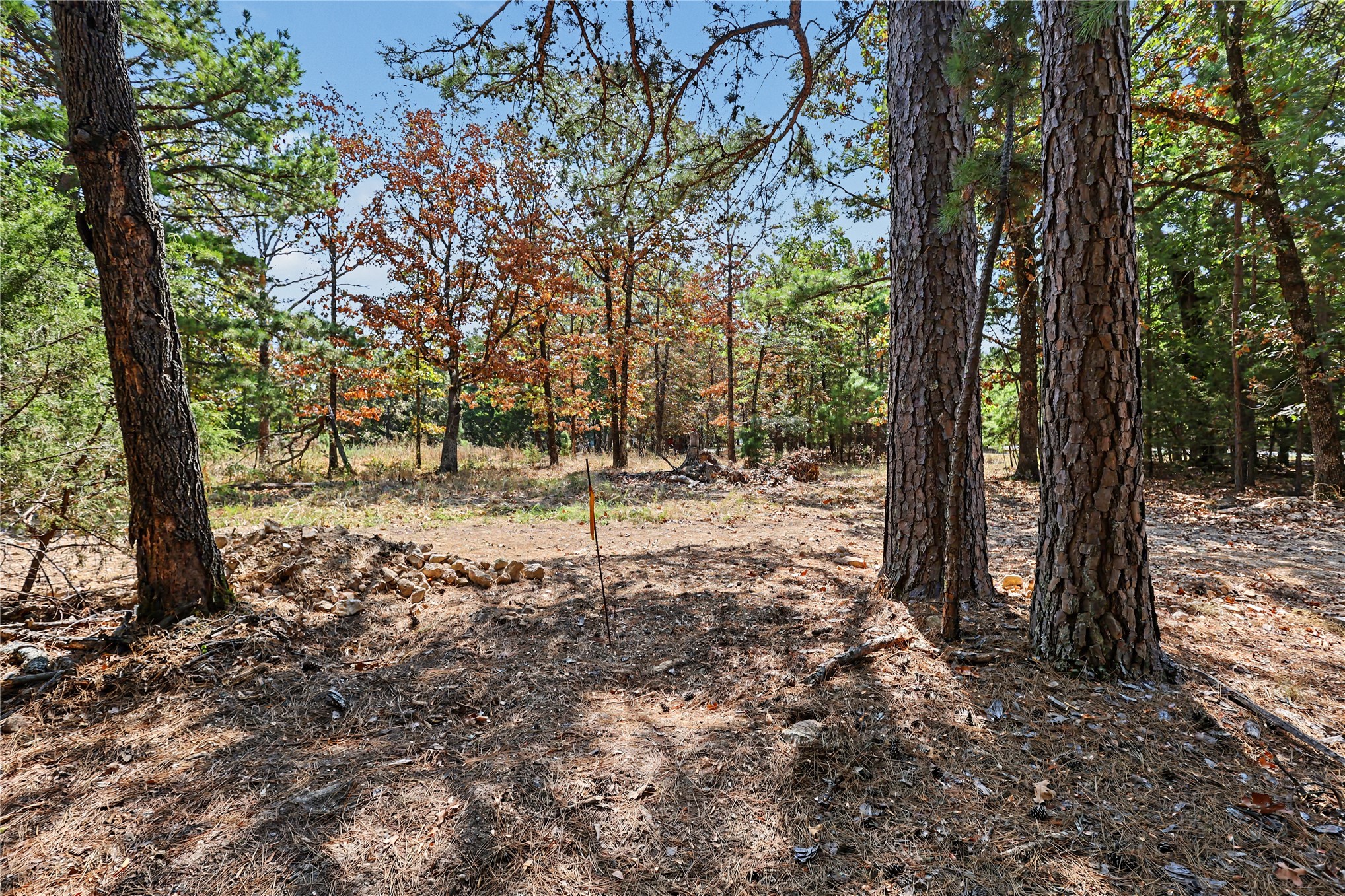 1079 Ridge Drive Property Photo 15