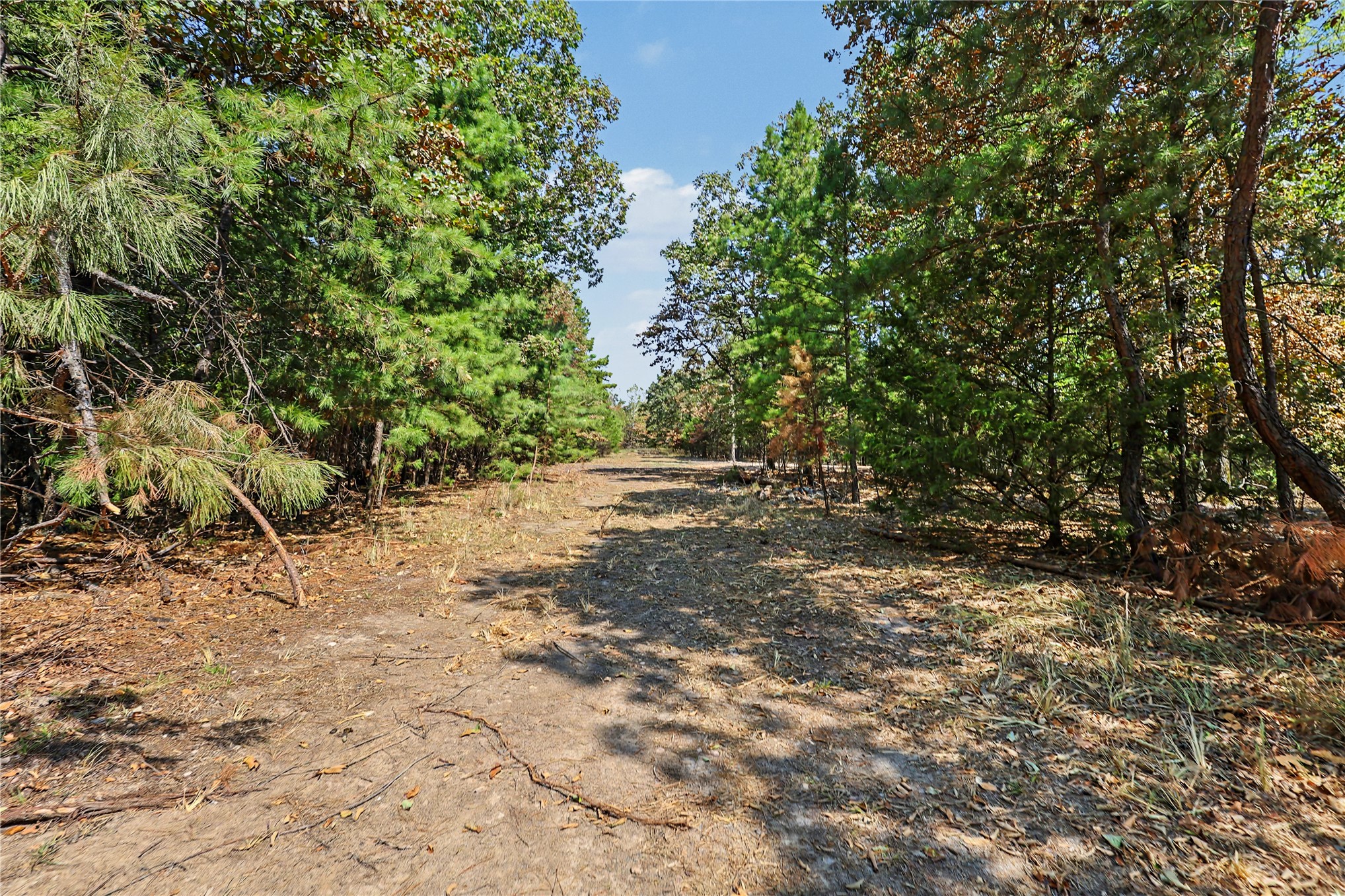 1079 Ridge Drive Property Photo 19