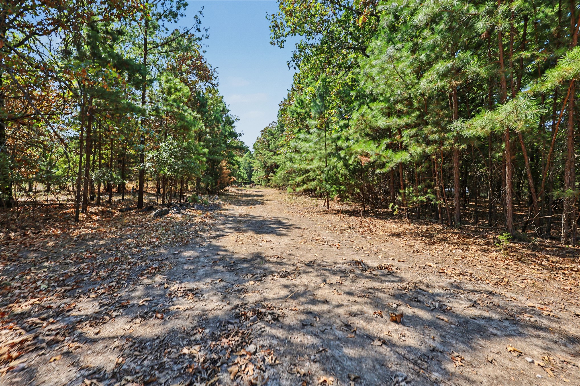 1079 Ridge Drive Property Photo 26