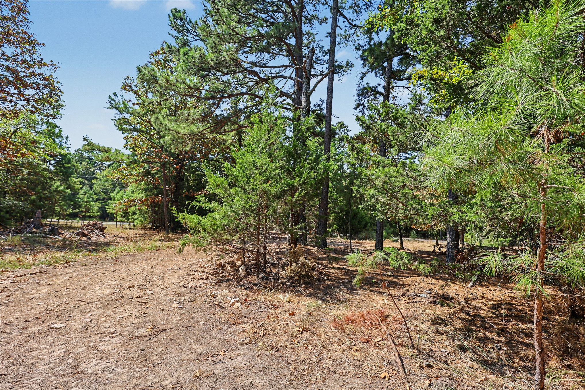 1079 Ridge Drive Property Photo 28