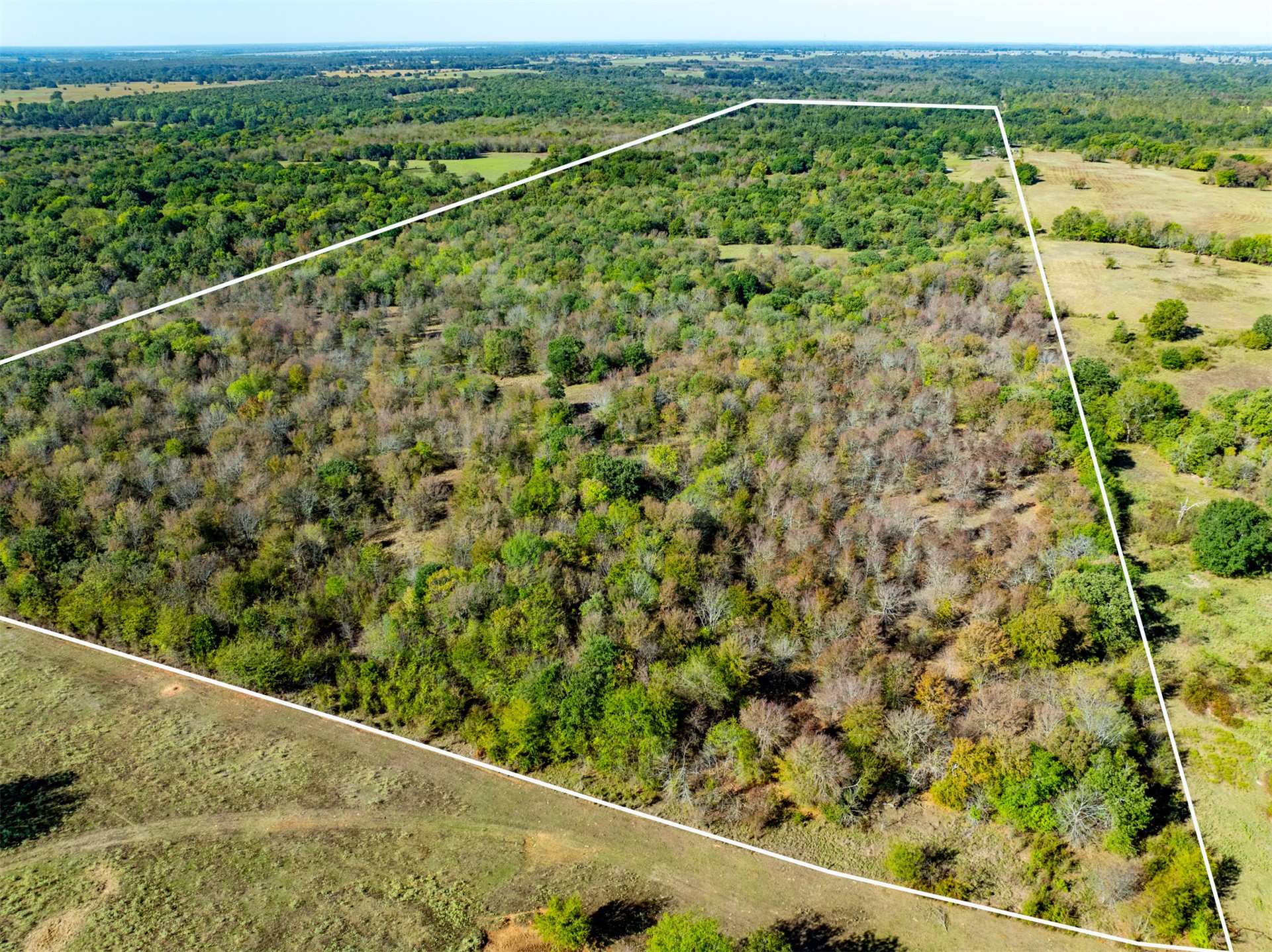 1599 N 4010 Road Property Photo 2