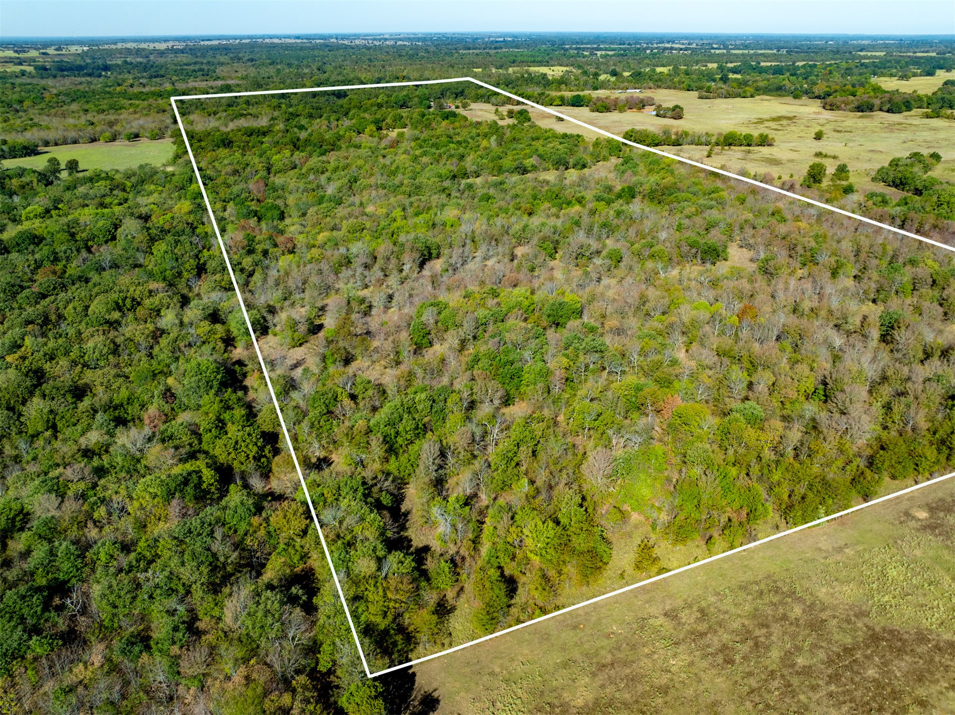 1599 N 4010 Road Property Photo 4