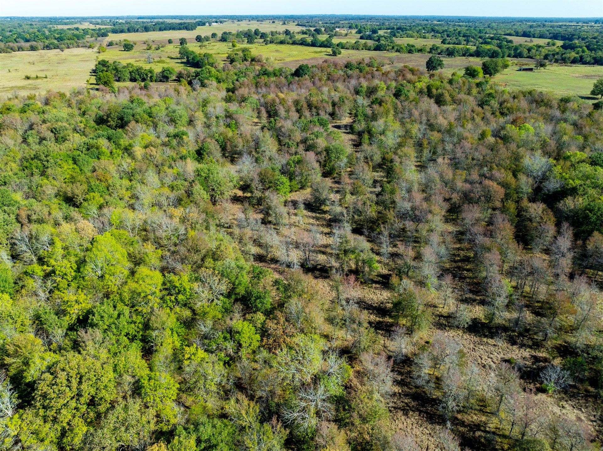 1599 N 4010 Road Property Photo 5