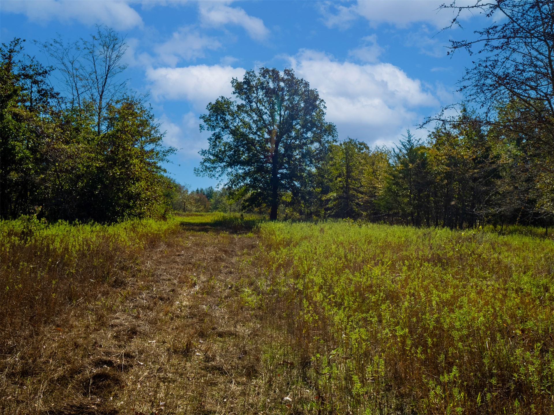 1599 N 4010 Road Property Photo 11