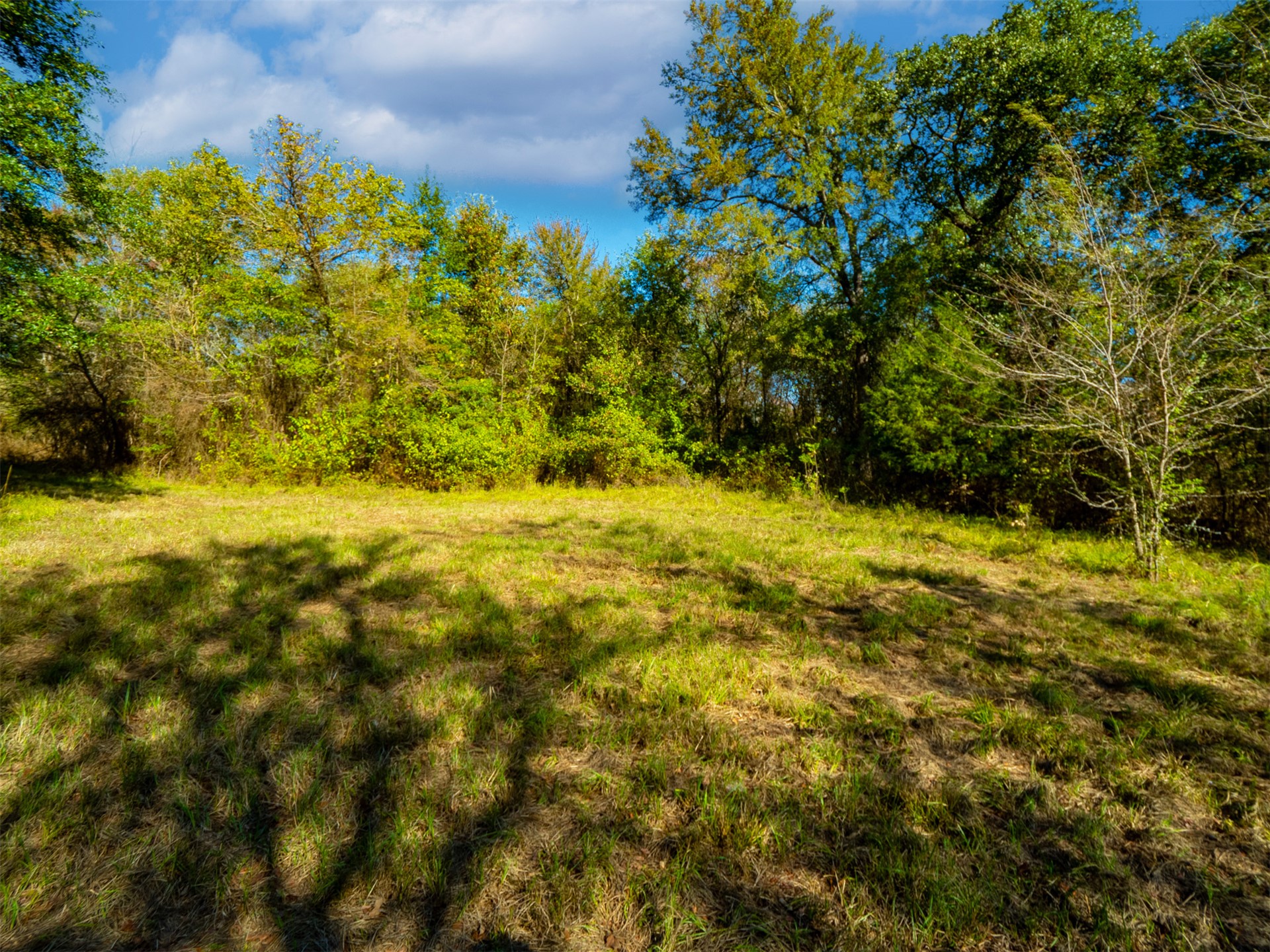 1599 N 4010 Road Property Photo 12