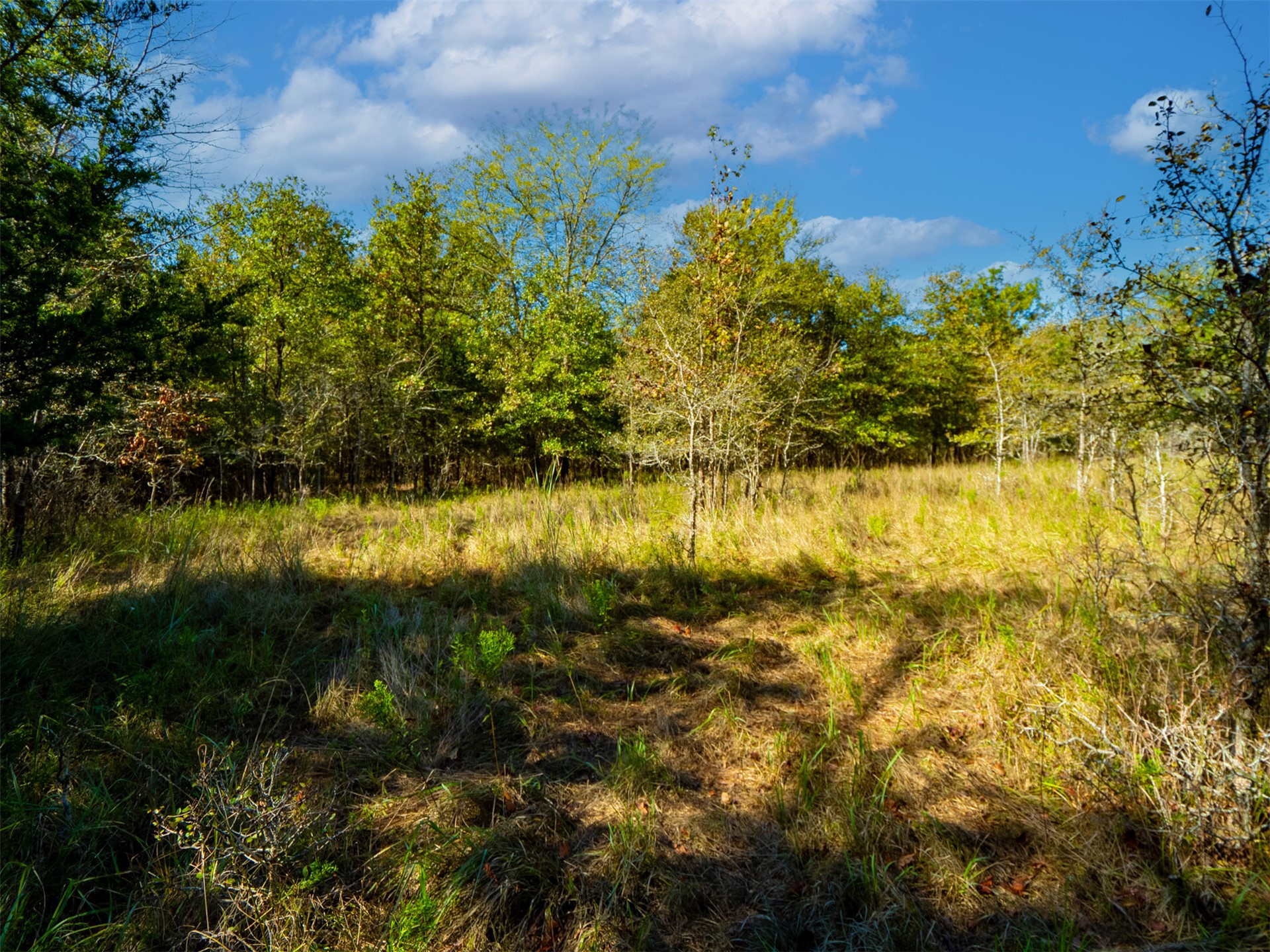 1599 N 4010 Road Property Photo 14