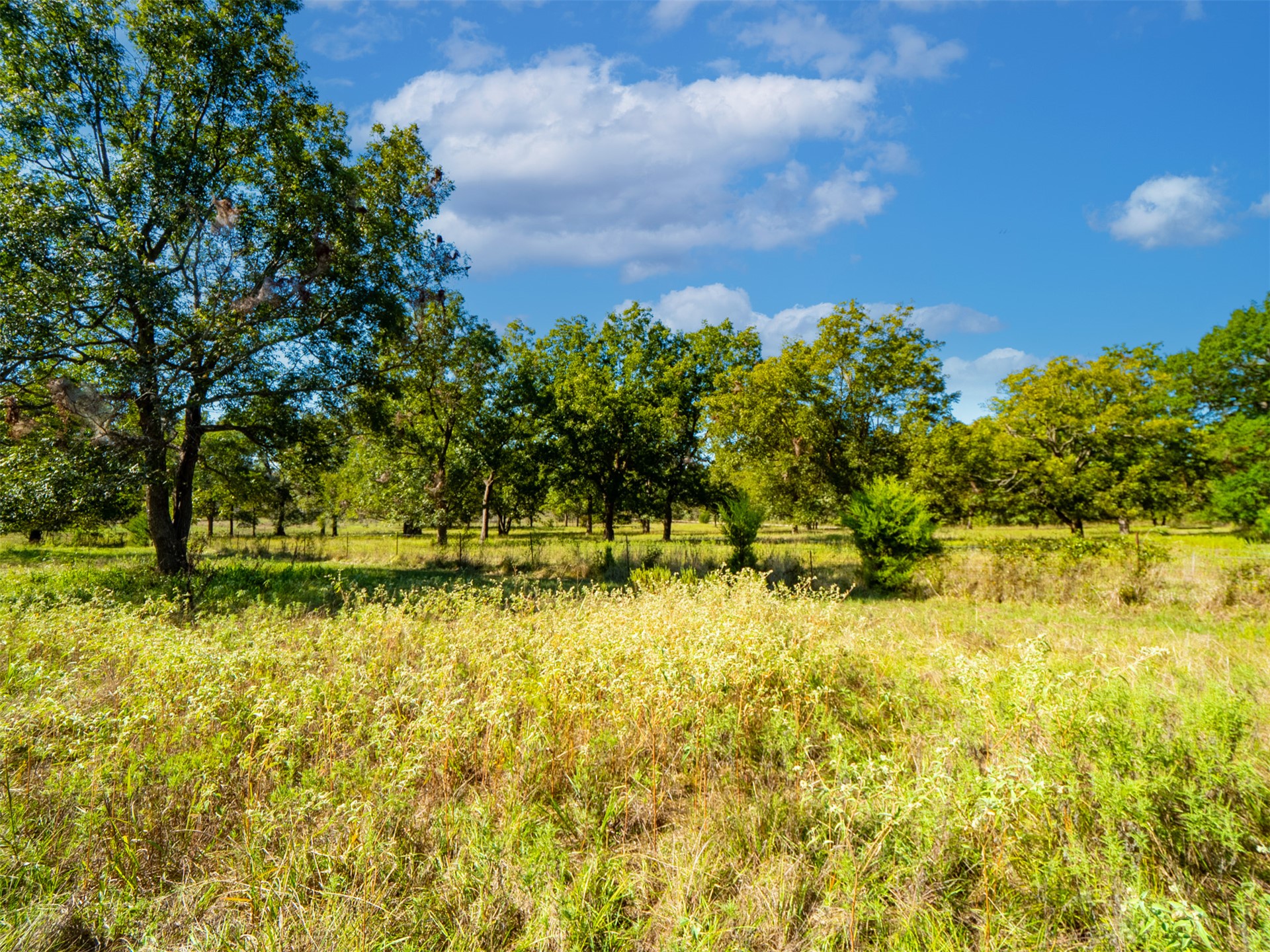 1599 N 4010 Road Property Photo 22