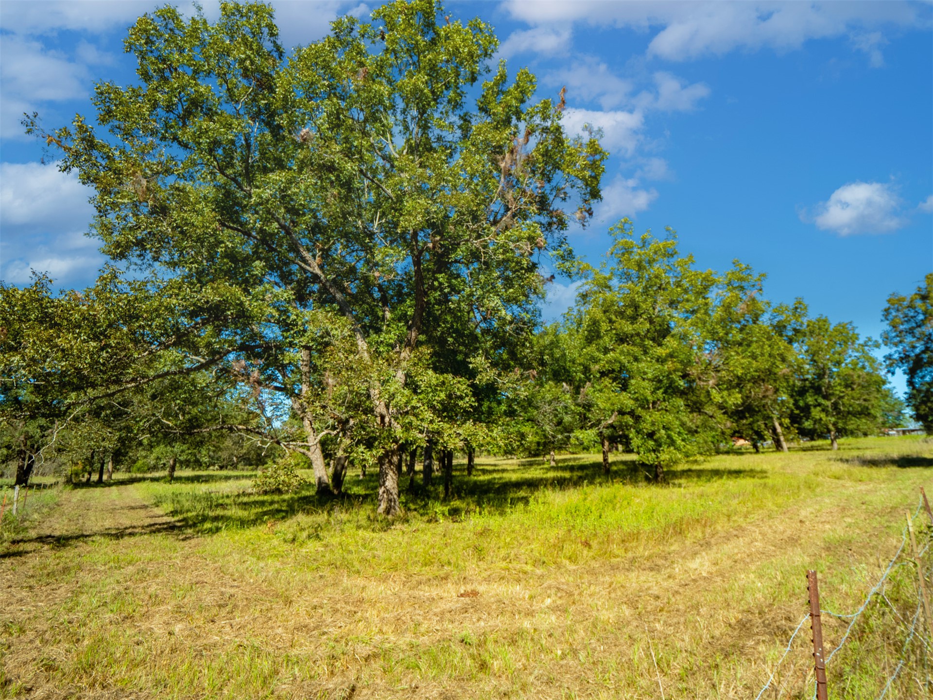 1599 N 4010 Road Property Photo 25